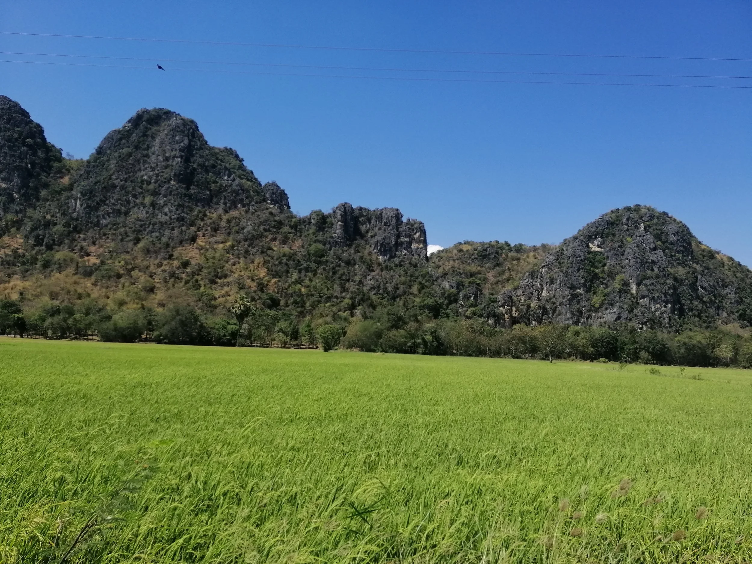 2019 Petchaburi & Cha'am Trip with Cokie & Gift (17).jpg