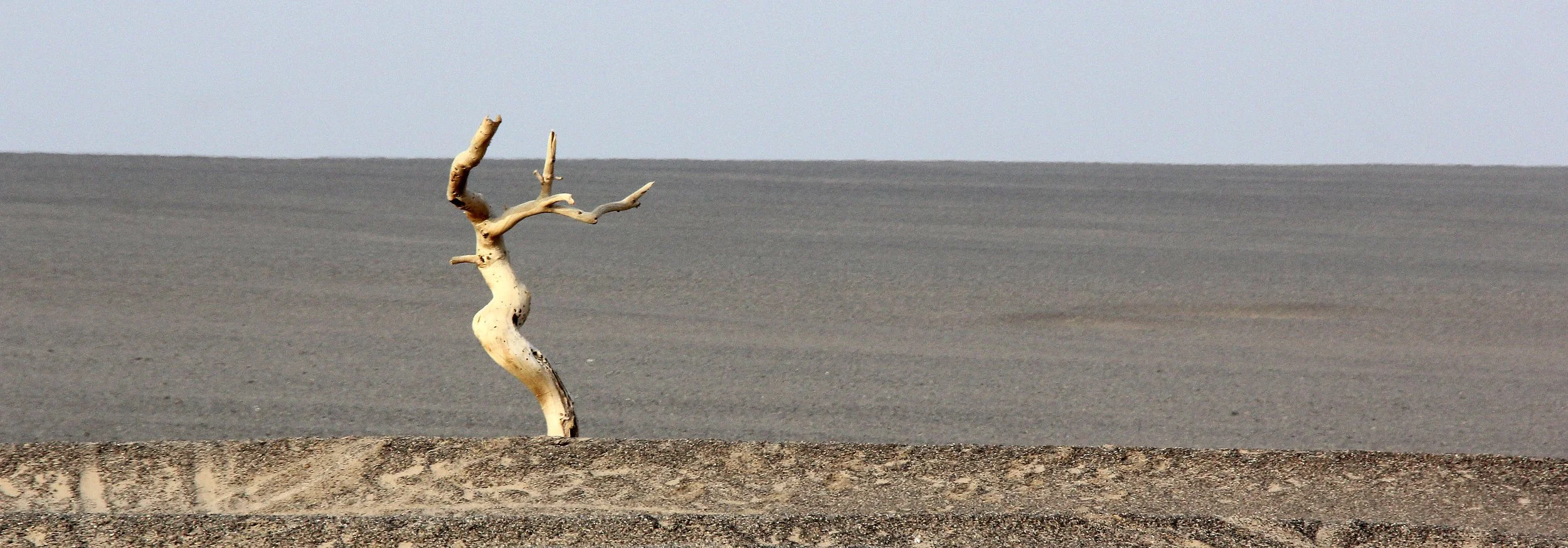 YADAN NATIONAL GEOLOGICAL RESERVE - GANSU CHINA (50).JPG