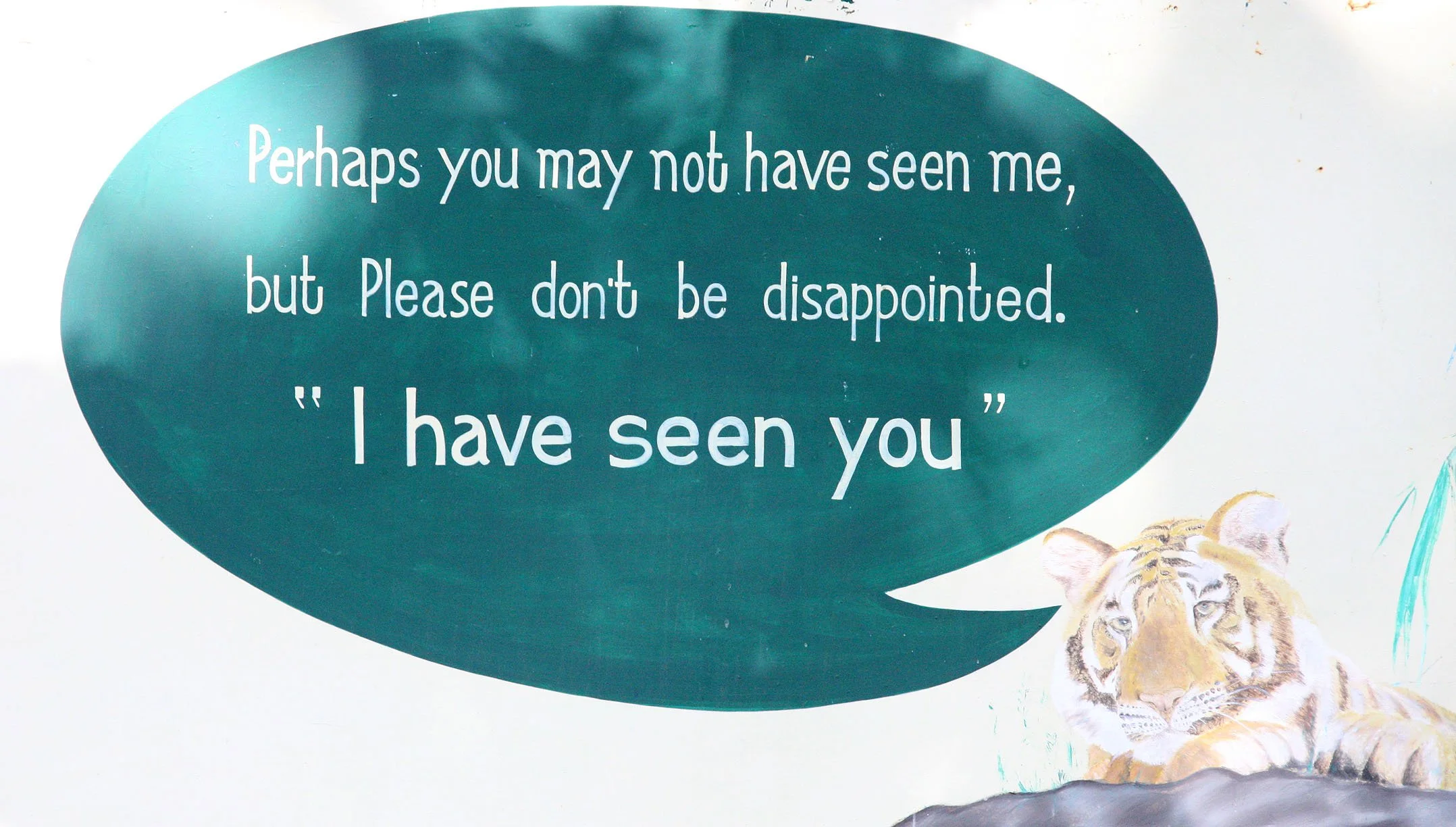 MADHYA PRADESH - BANDHAVGAR NATIONAL PARK MADHYA PRADESH INDIA (31).JPG