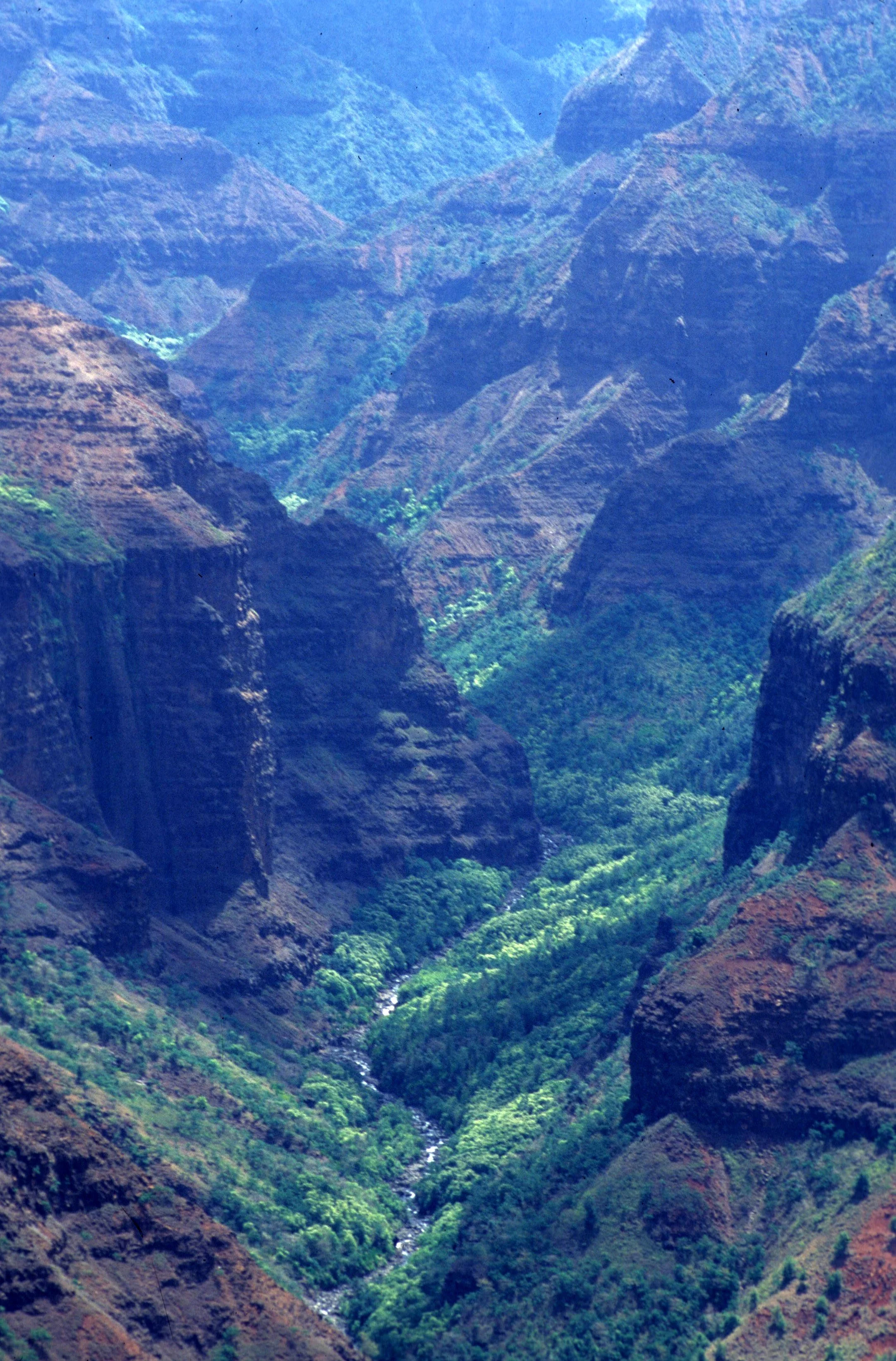 HAWAII - KAUAI - WAIMEA CANYON OVERLOOK (2).jpg