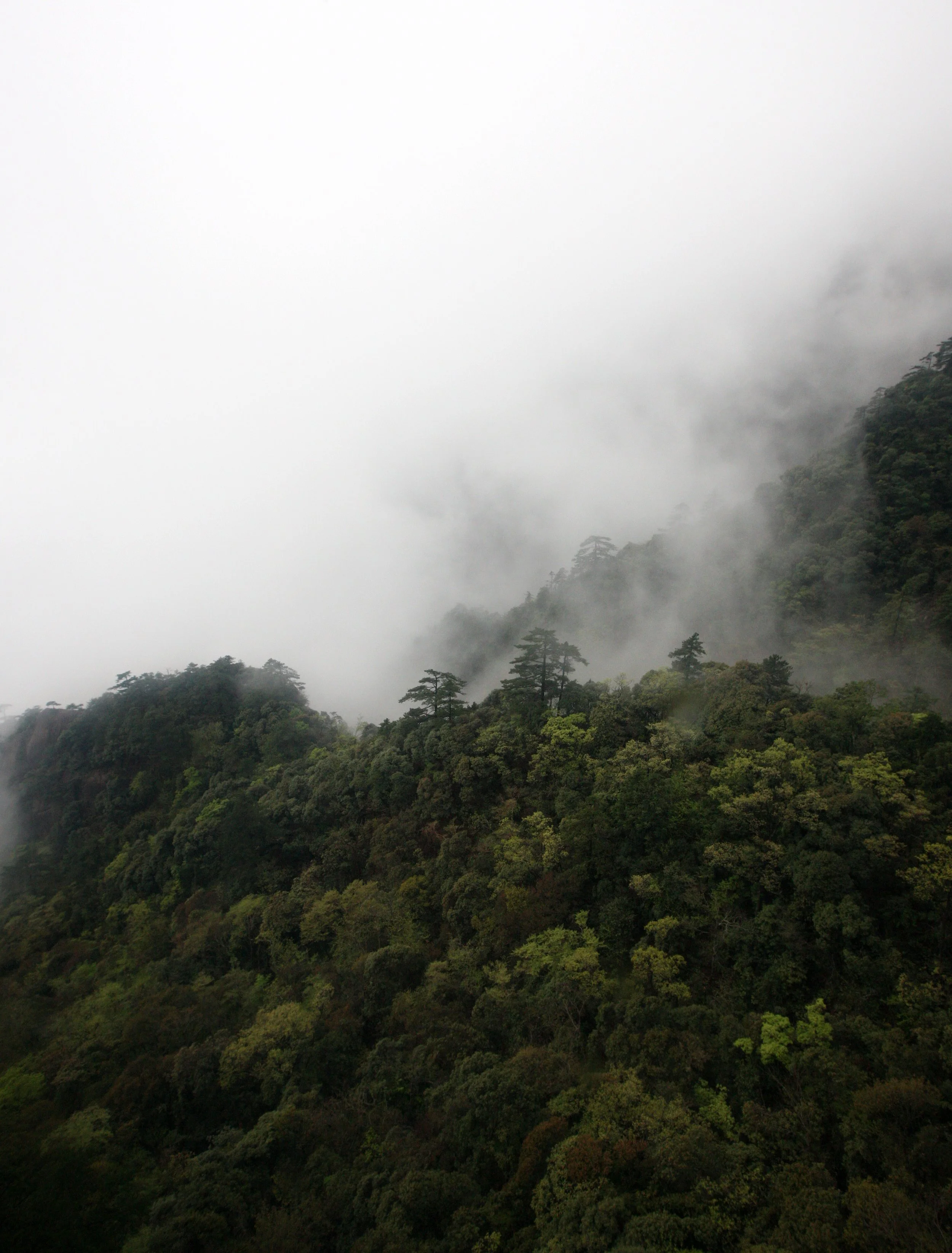 HUANGSHAN NATIONAL PARK ANHUI PROVINCE CHINA (252).JPG
