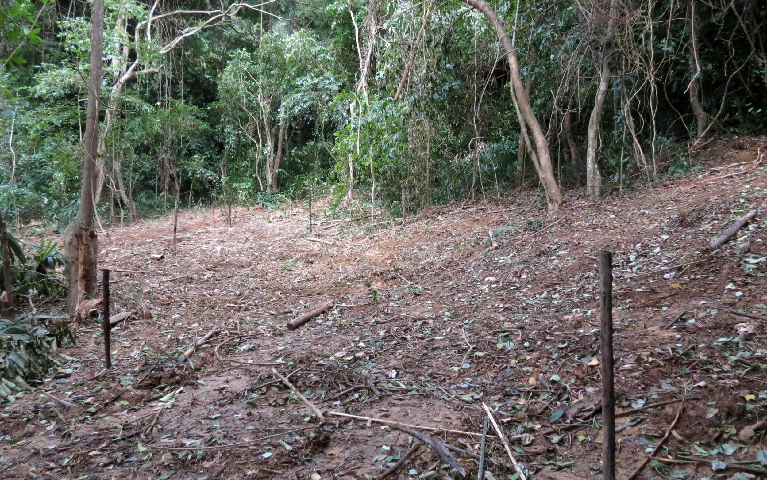 2014 Koh Lanta Build (17).JPG