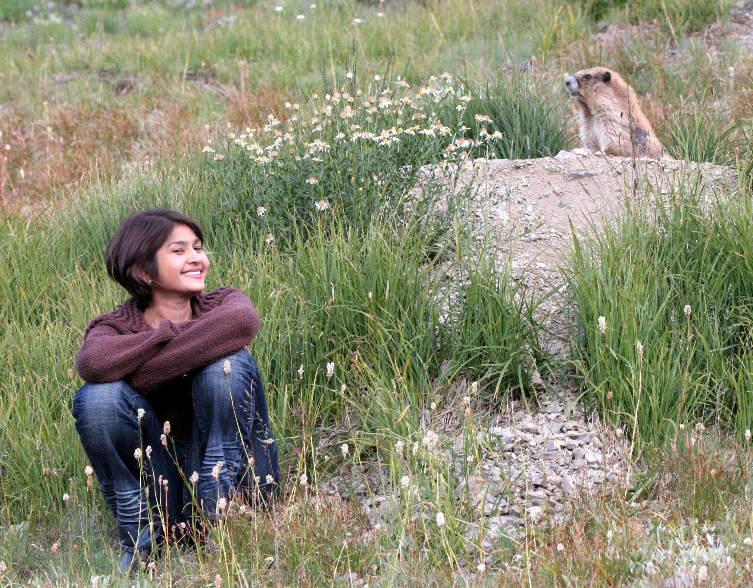 RODENT - MARMOT - OLYMPIC MARMOT - OLYMPIC NATIONAL PARK (41).JPG
