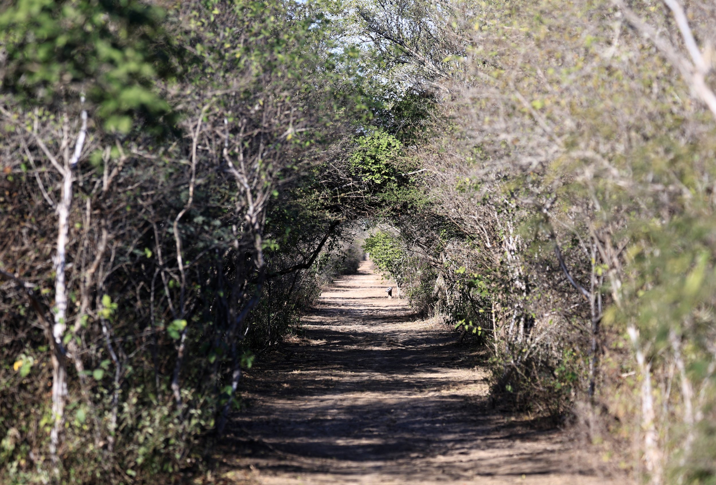 Reserva Natural Canada el Carmen, Paraguay (56).jpg