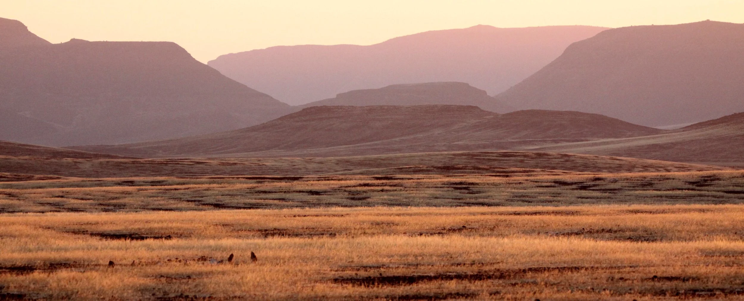 NAMIBIA - SKELETON COAST NATIONAL PARK - EAST ENTRANCE (2).JPG