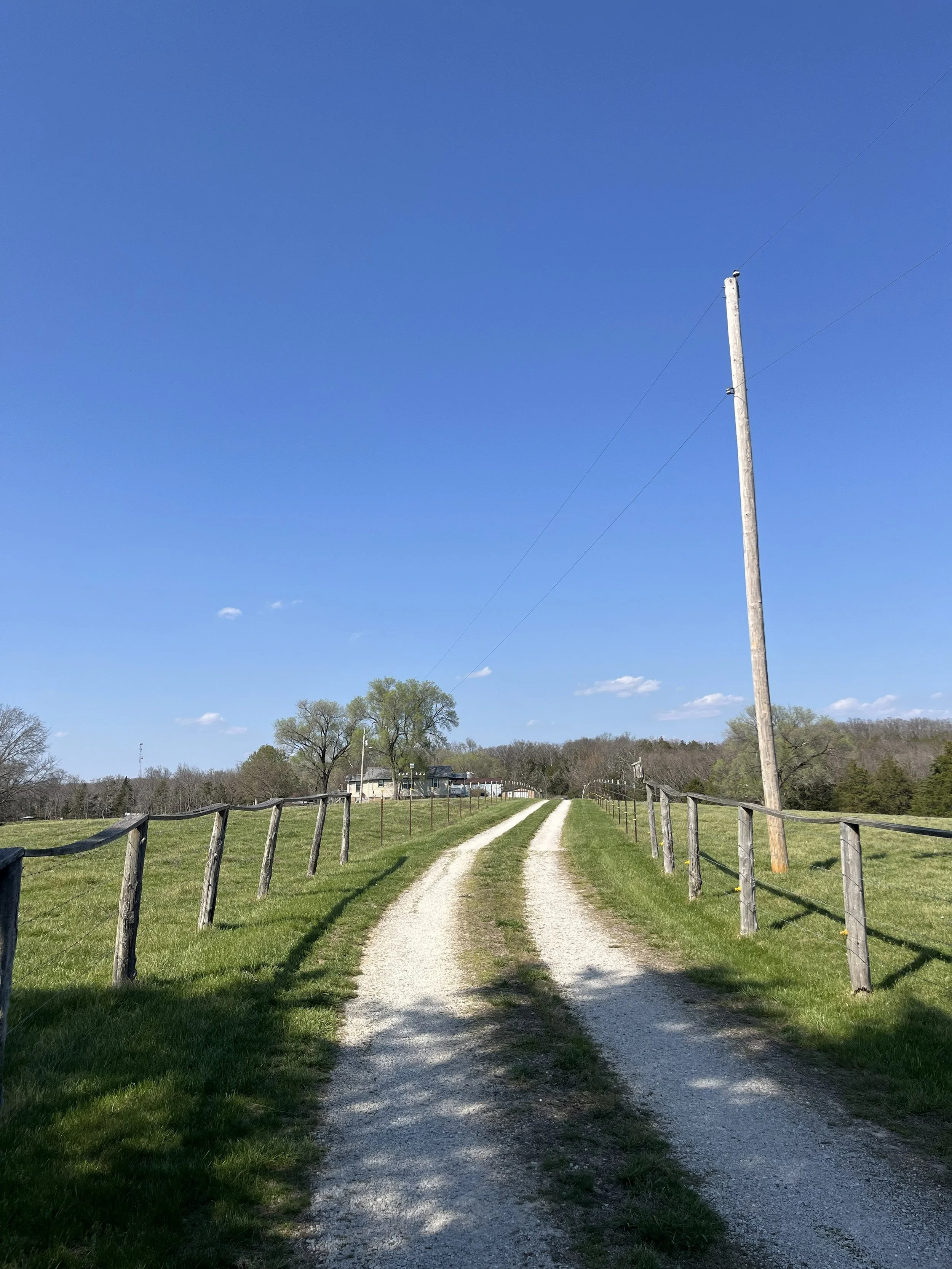 Steinbach Online Real Estate Auction