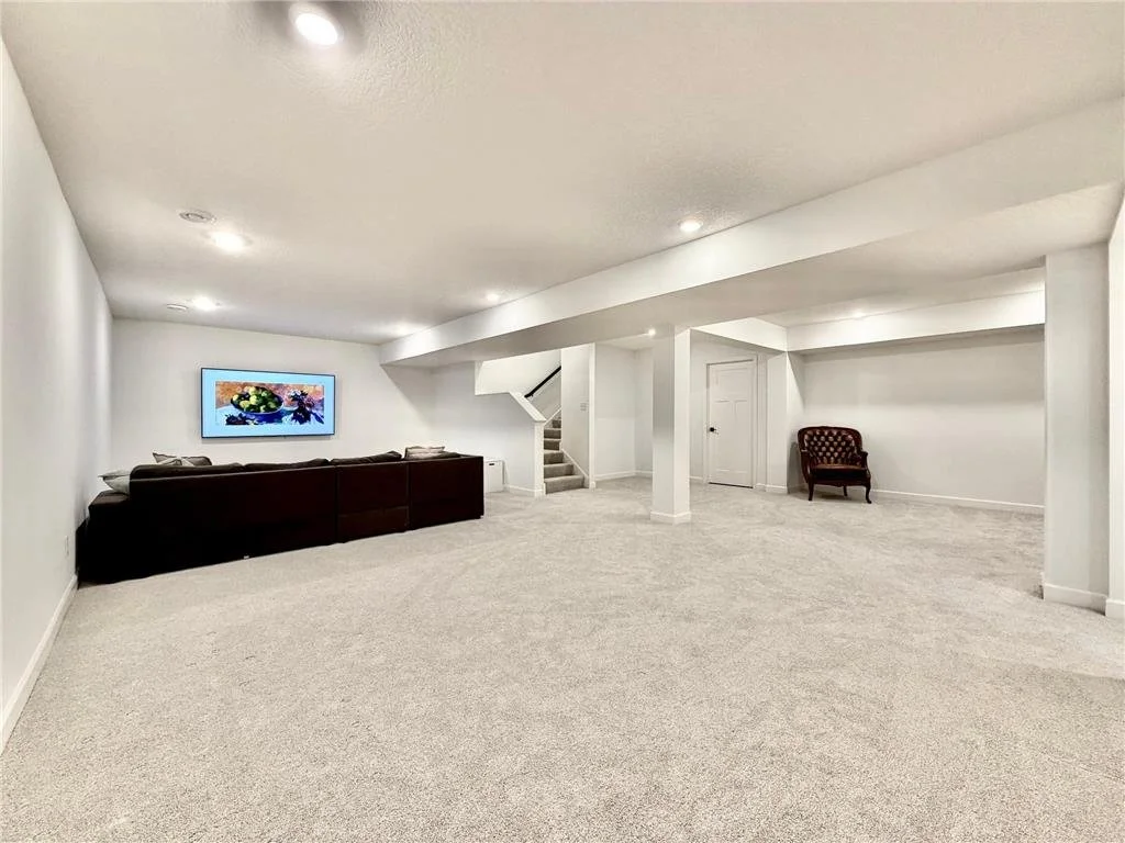 18112 Lower level family room.jfif