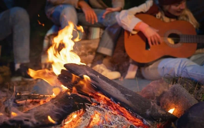 Live music, Bingo, ping-pong tournament and outdoor movies