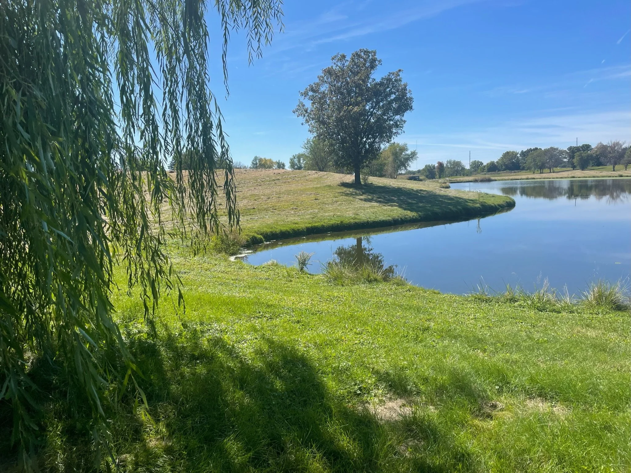 Scenic view of a pond surrounded by green grass and trees under a clear blue sky.