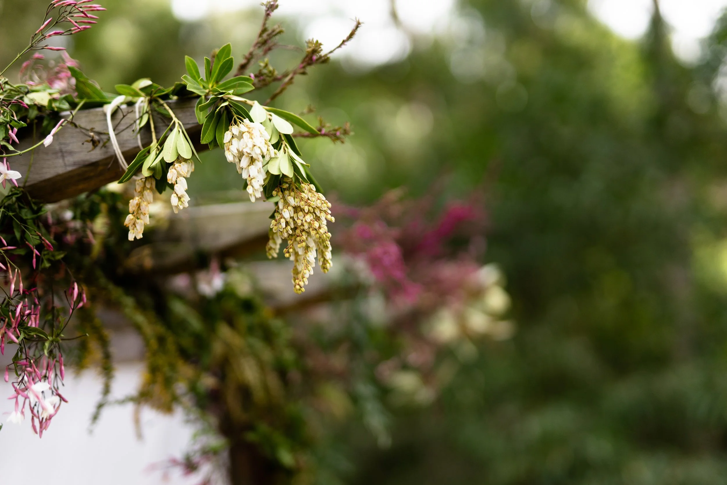 Felicity + Aaron-111.JPG