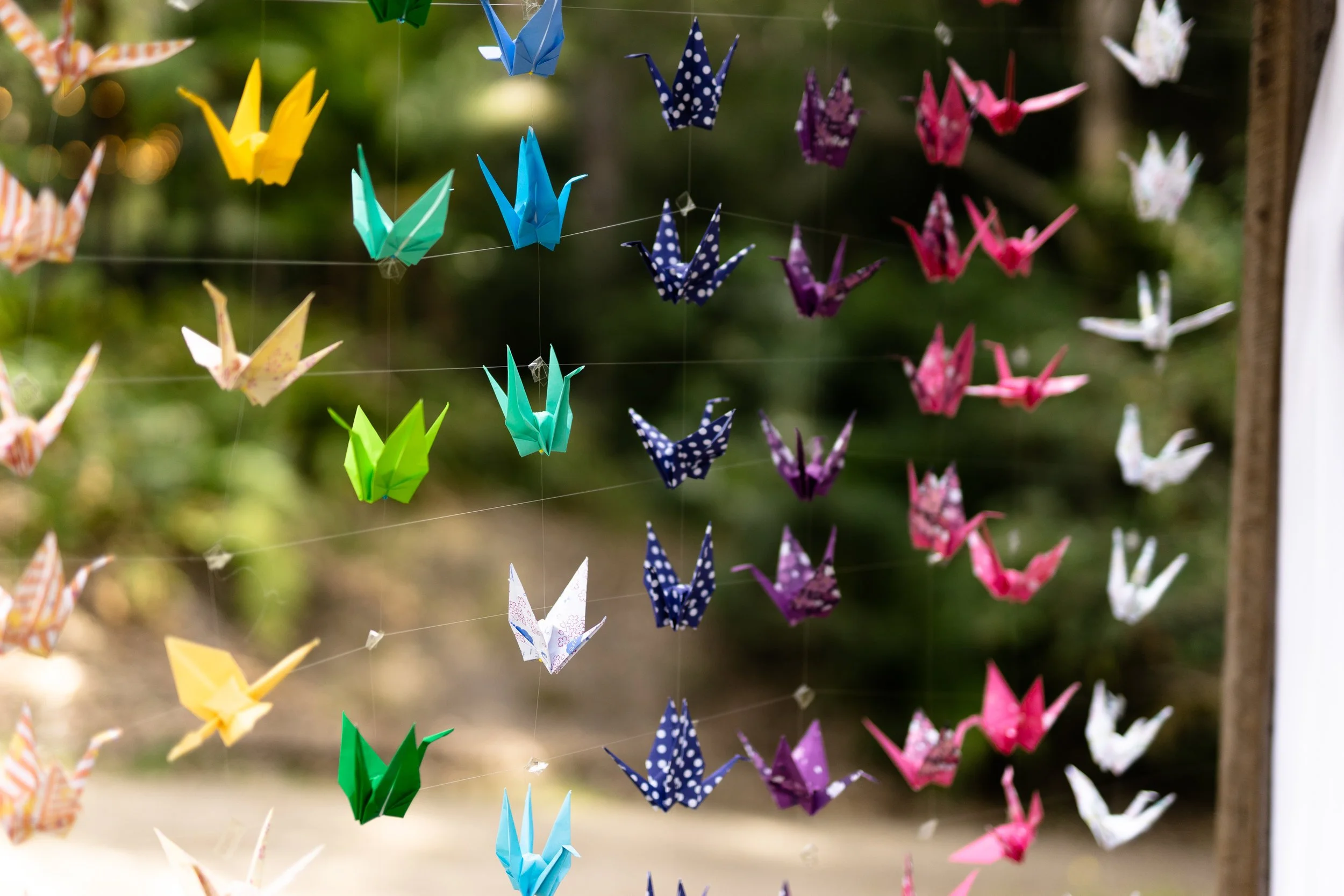 Felicity + Aaron-114.JPG