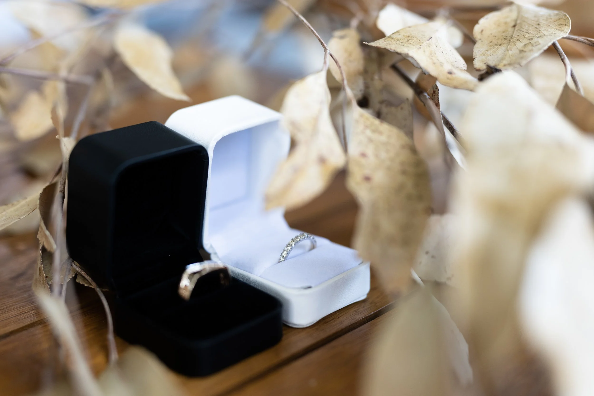 Teneille + Phillip-48.JPG