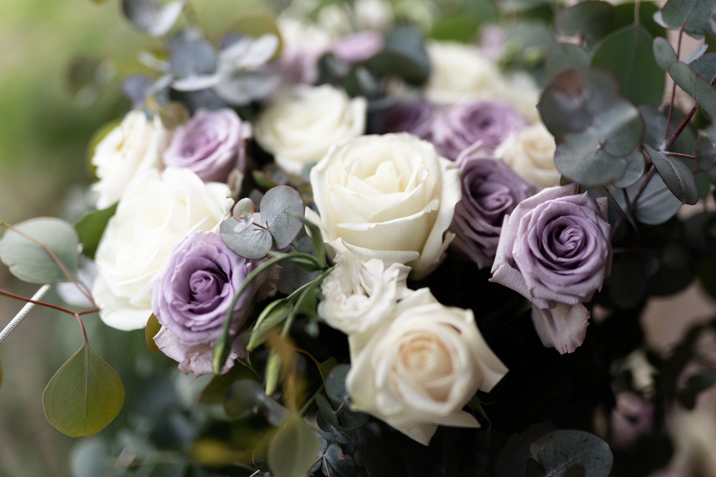 Teneille + Phillip-66.JPG