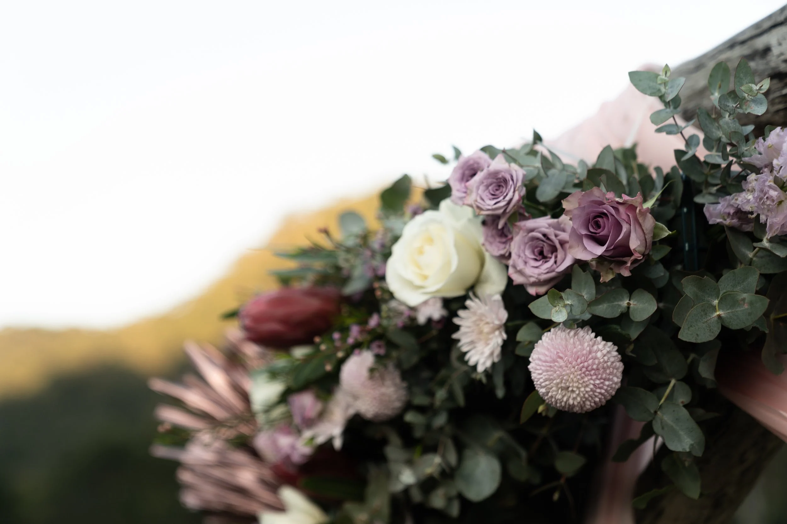 Teneille + Phillip-308.JPG