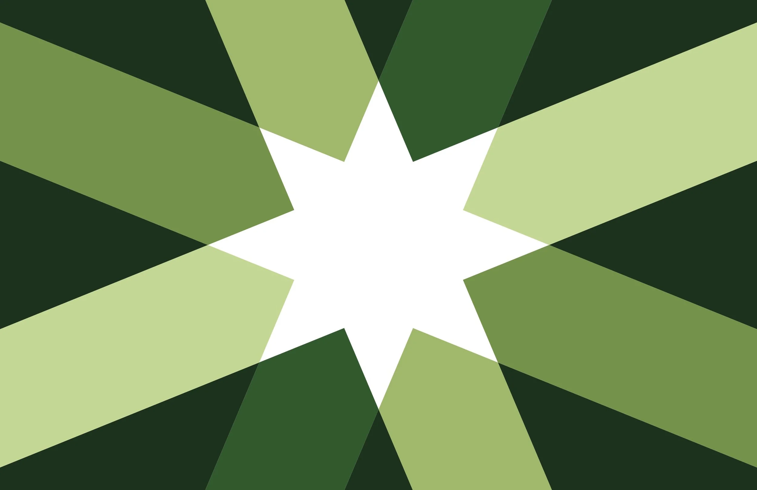 christmas-campaign-star-green.jpg