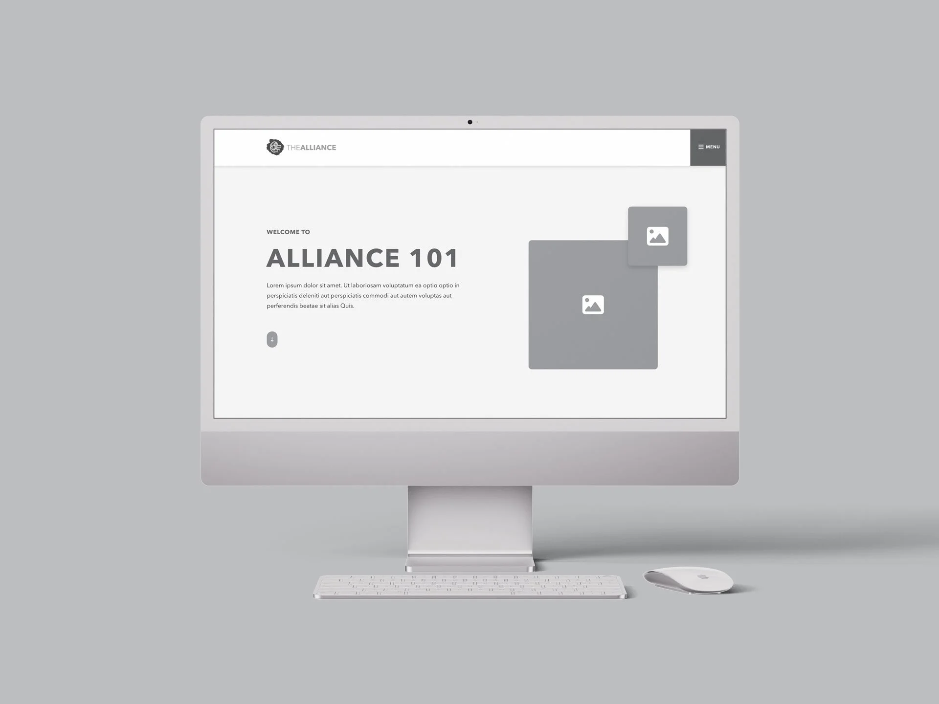 mockup-a101-wireframe-home.jpg