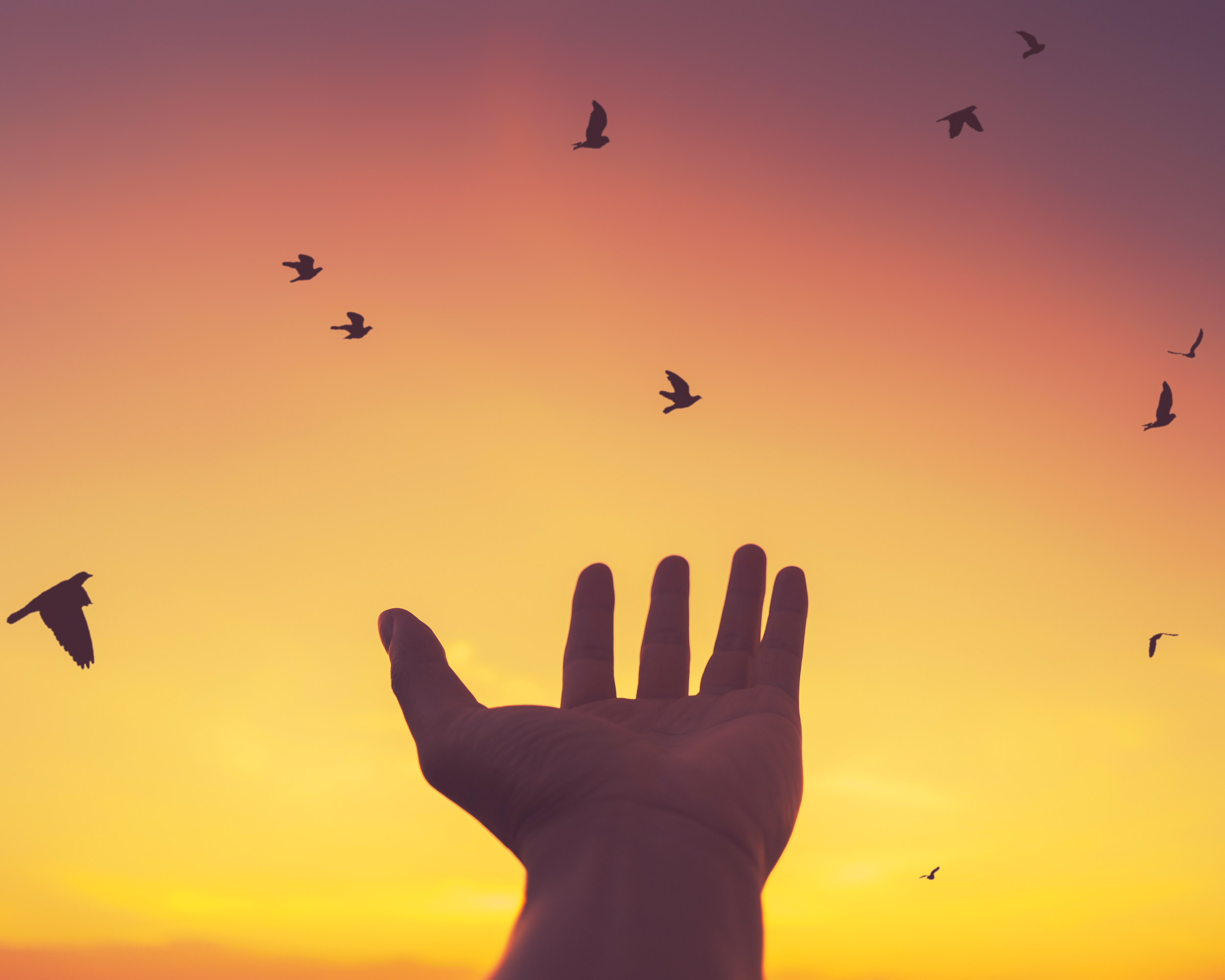 Unleashing What’s Already Here