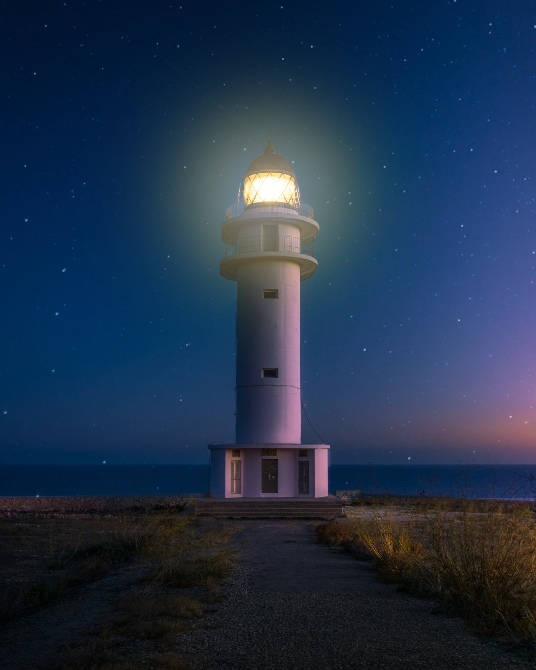 What Keeps a Company Alive?