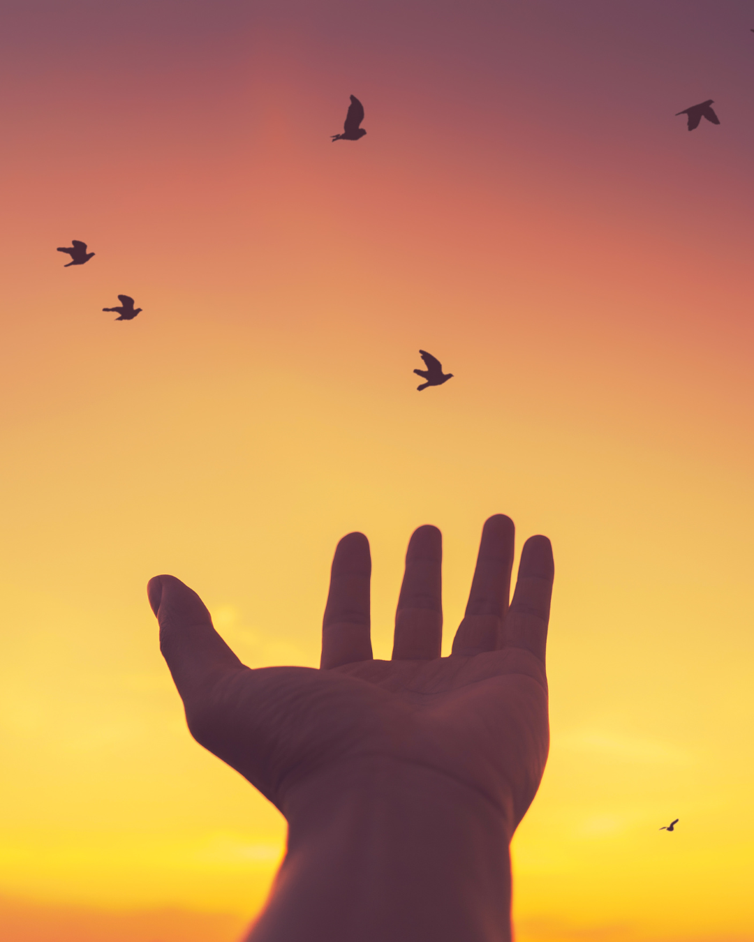 Unleashing The Wisdom Within