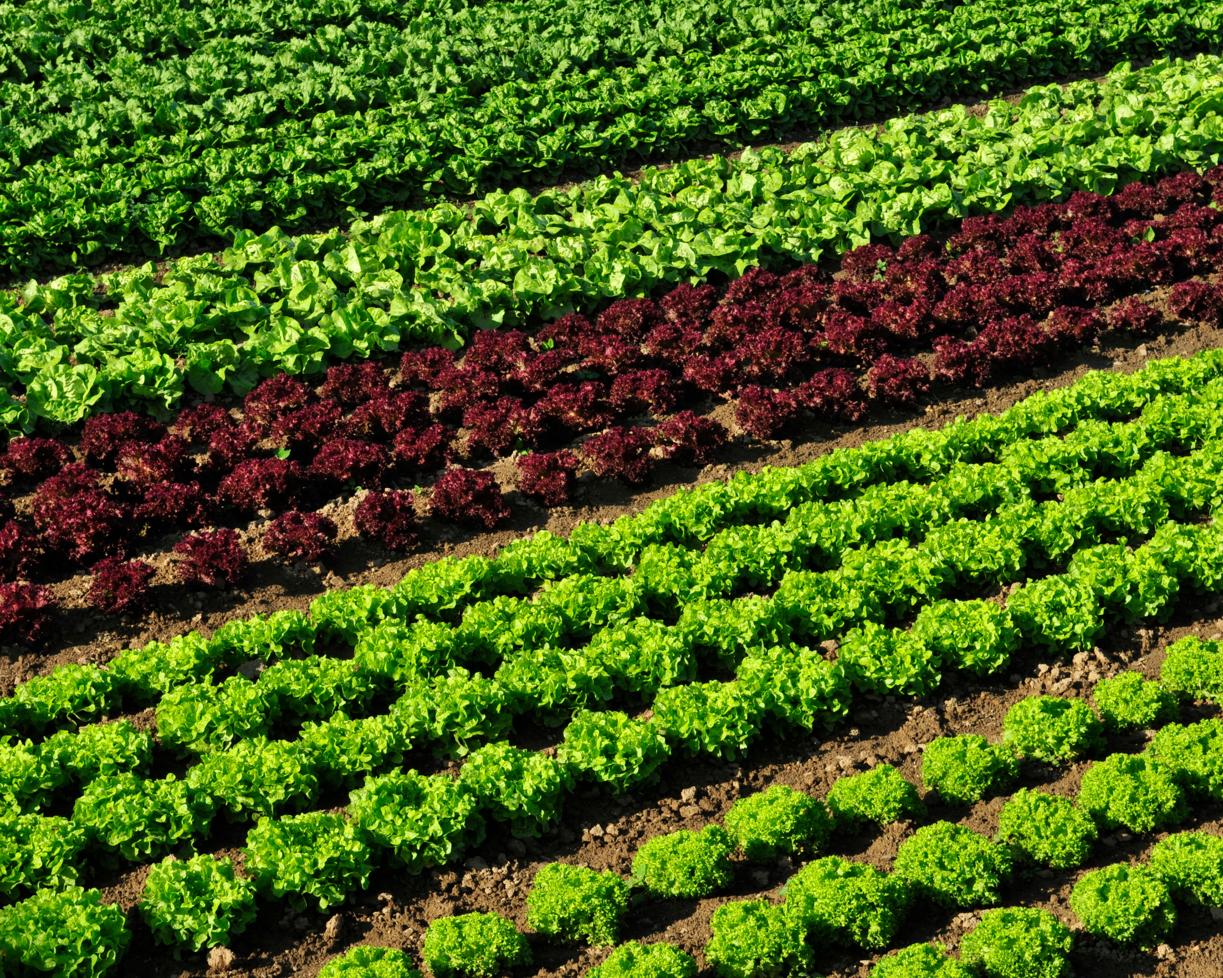 Ticking Items off the World’s To-Do List