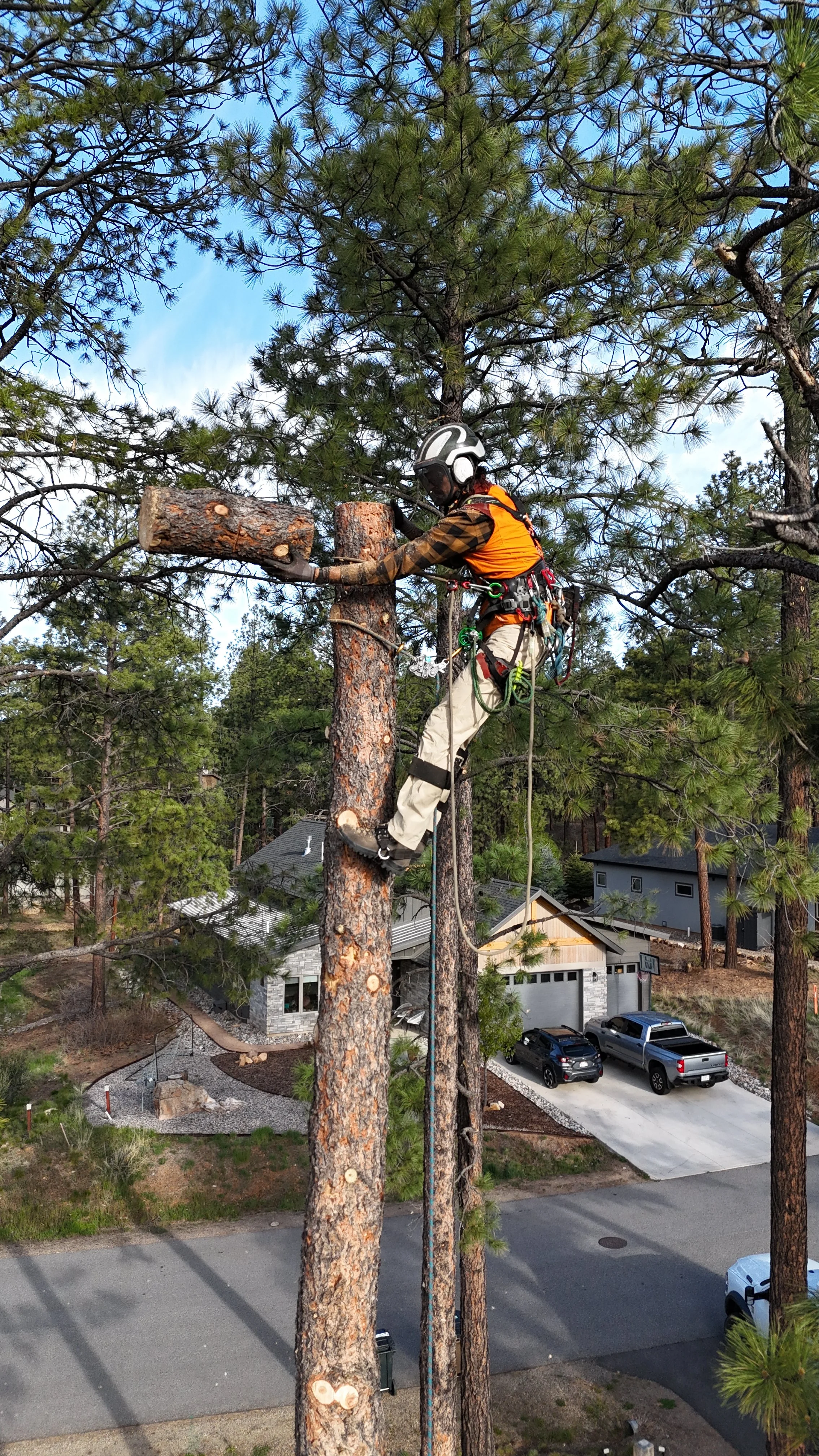 Full tree removal near house in Durango, CO. 