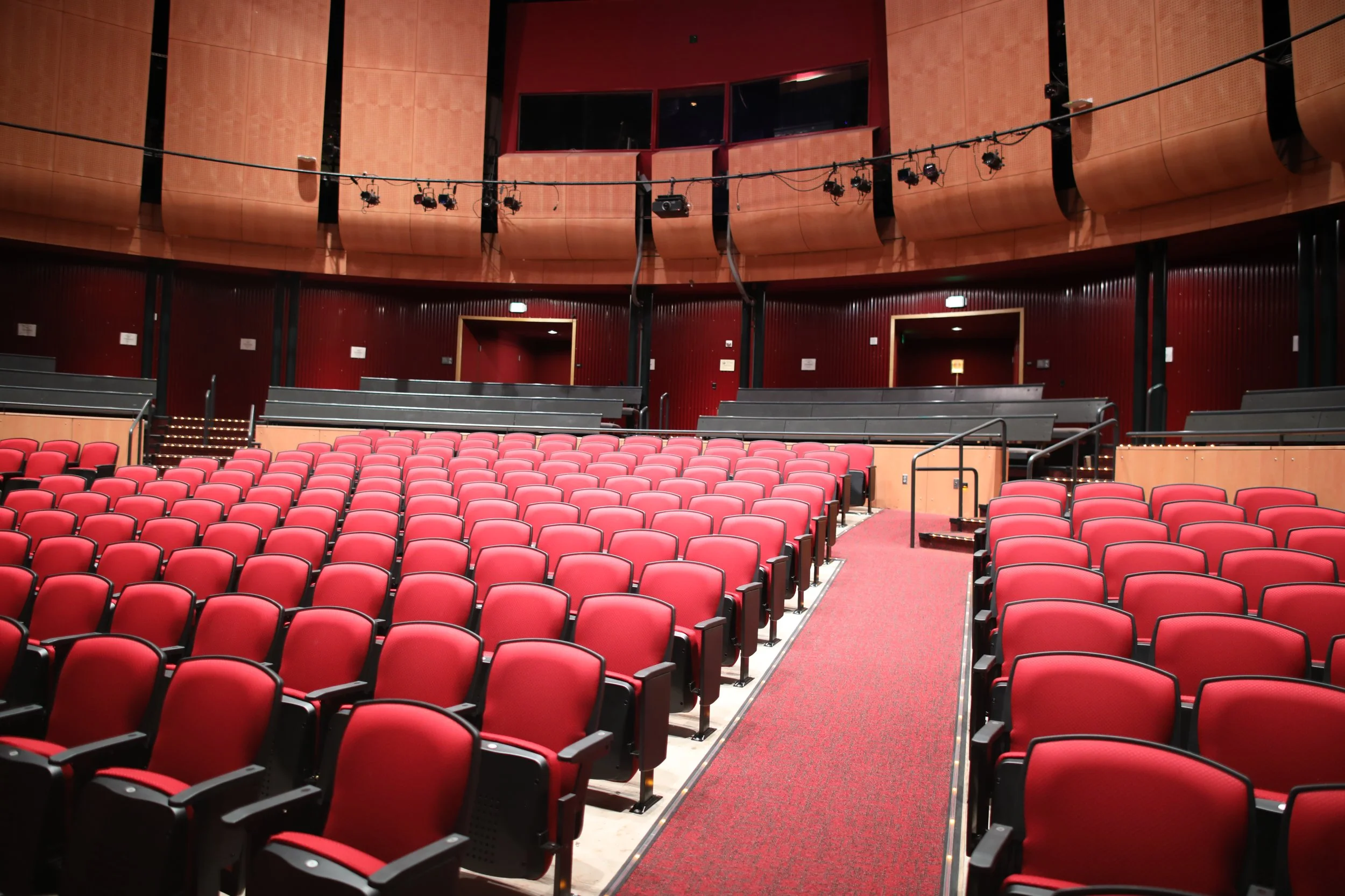 Festival Film Screenings