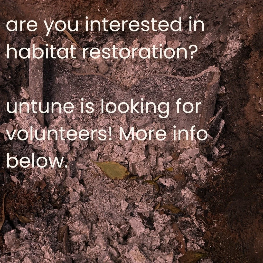 Are you interested in habitat restoration with the untune community? We're looking for any and everyone who would like to learn more about regenerative practices or even just spend more time with their hands in the soil at the residency site in Highl