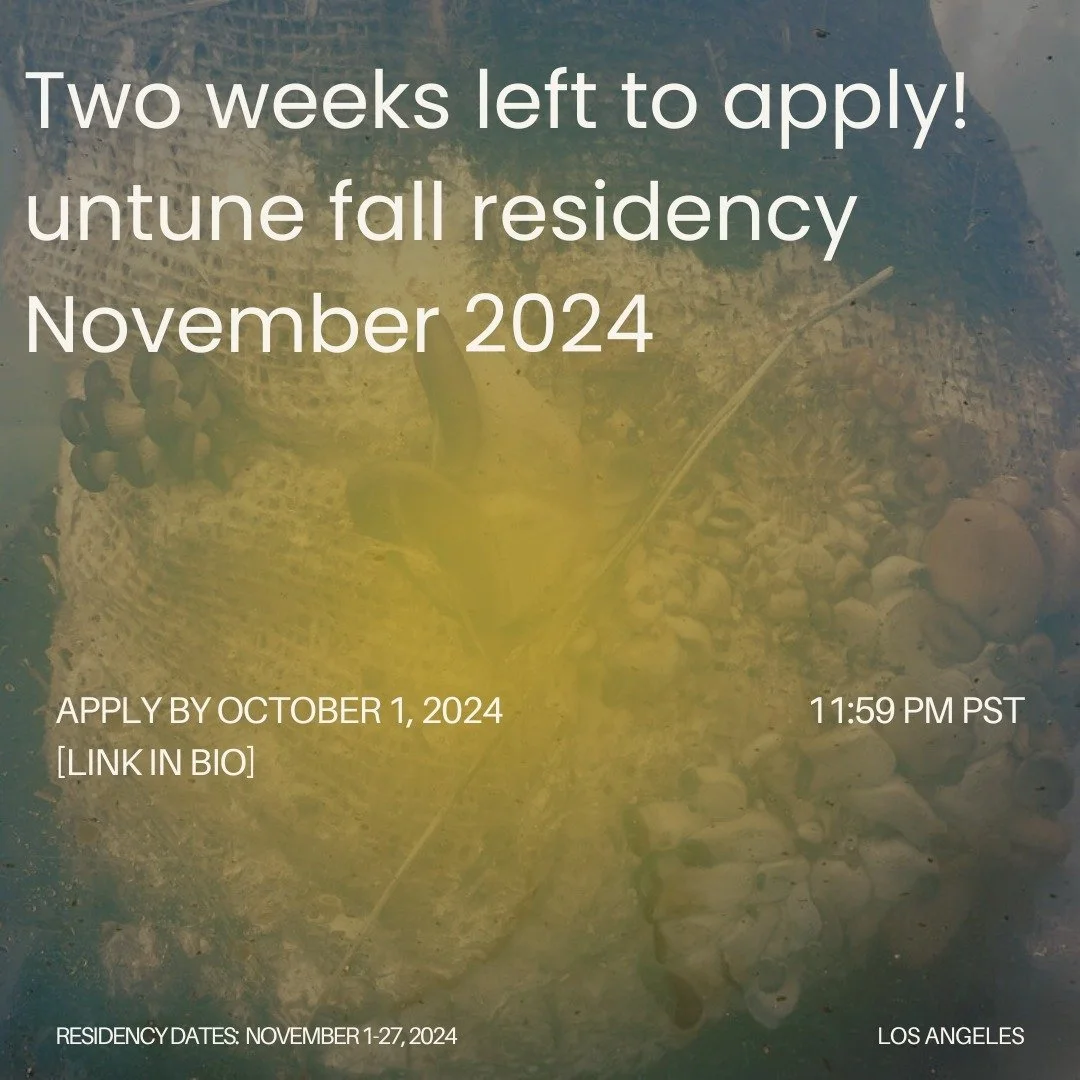 Two weeks left to apply for untune's fall residency! 🎺

We're excited to launch our residency period from November 1-27th. Please apply by October 1 through the link in bio. The residency is on-site and will support four weeks of art-making, program