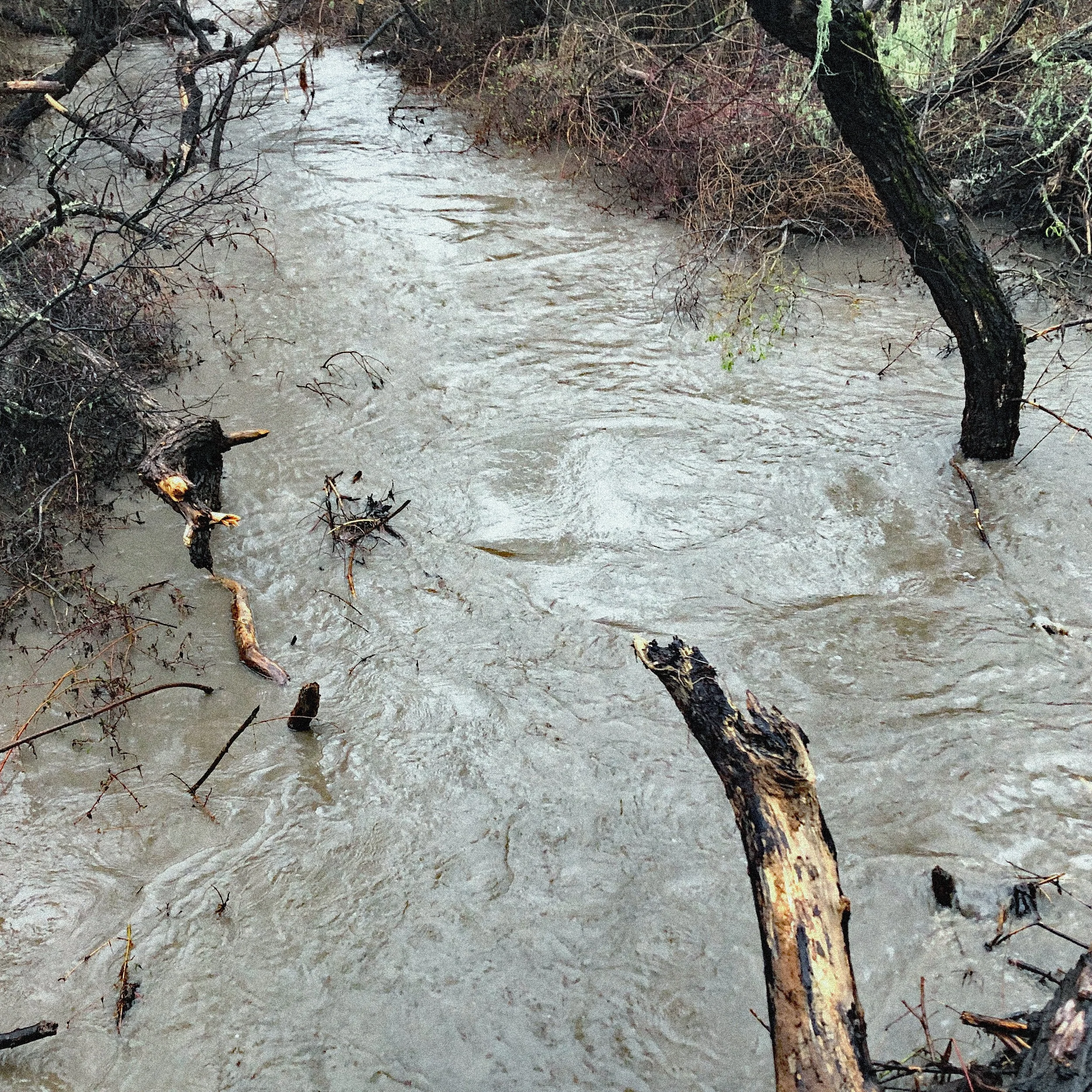 Flooding across Arroyo Grande 