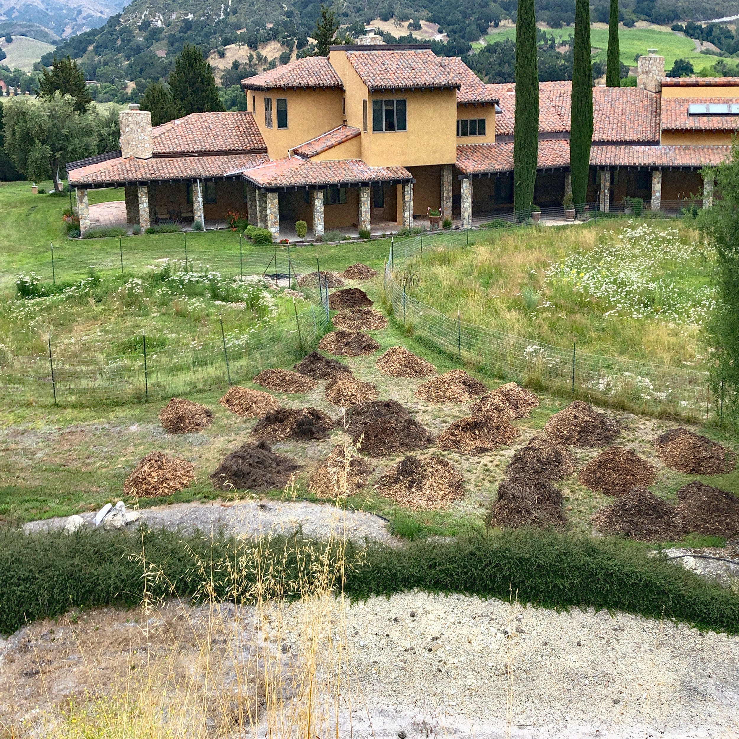 Mulch made and collected from oak trees at RAG 