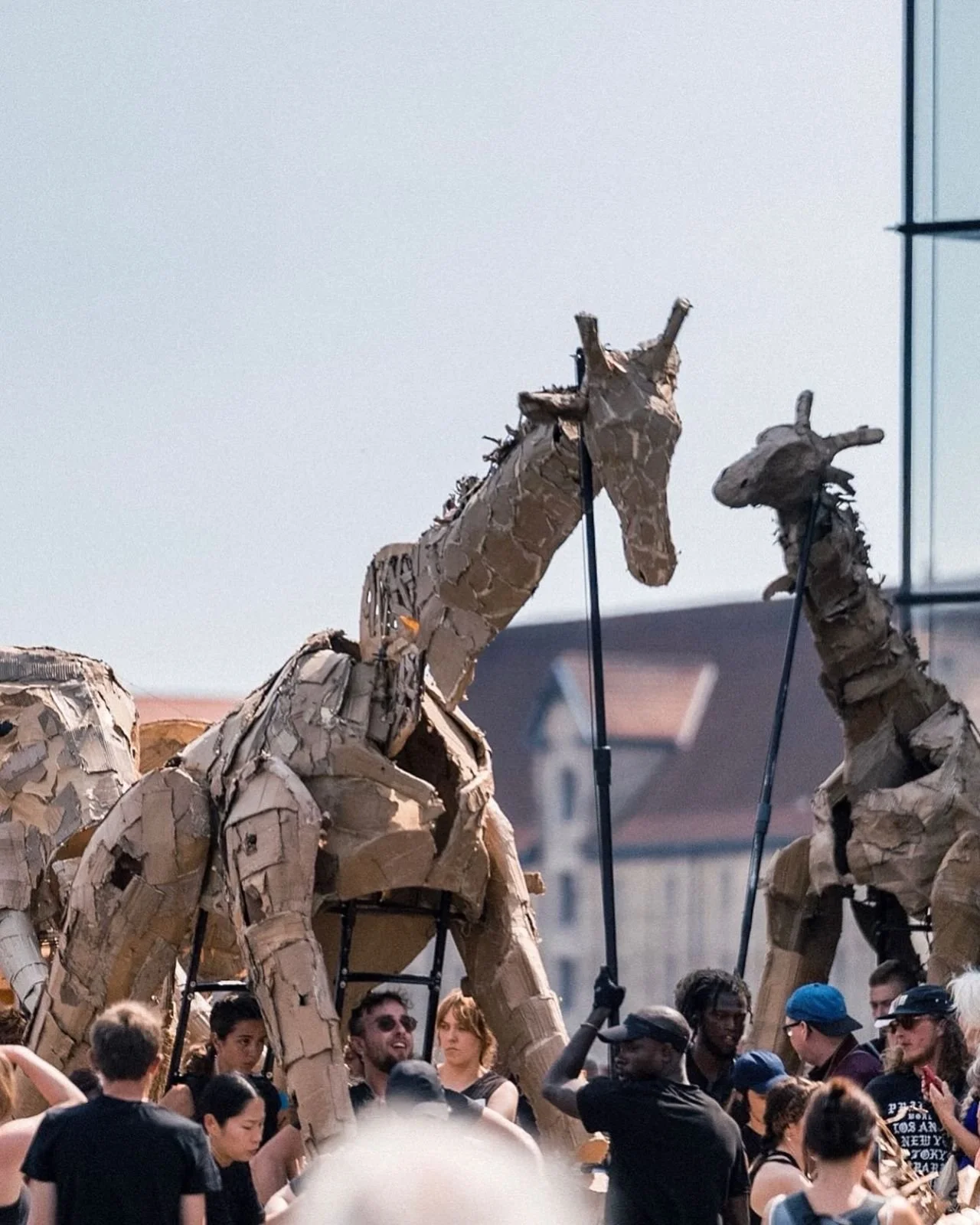 The Herds walks through Copenhagen