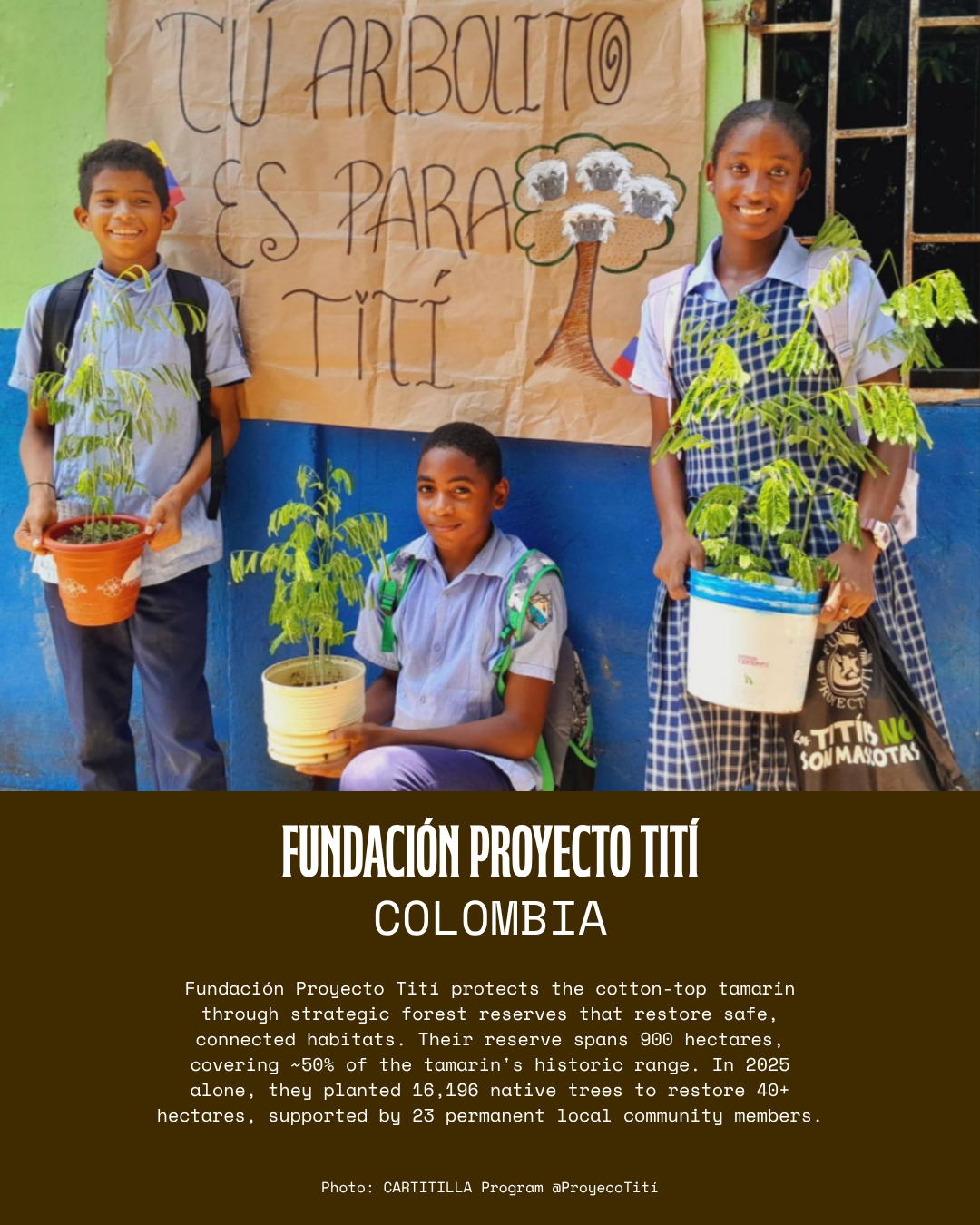 Fundación Proyecto Tití (2).png