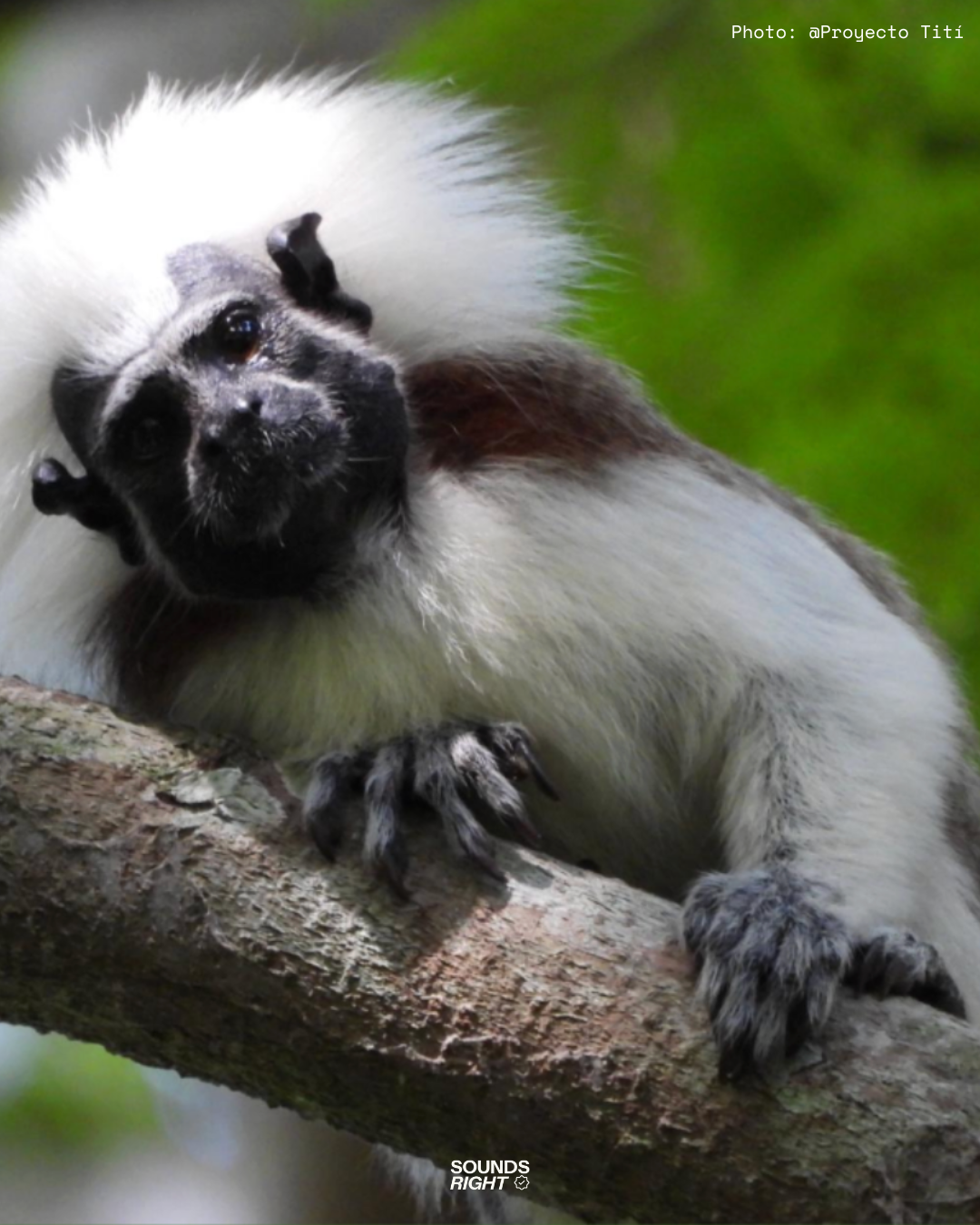 World Wildlife Day 2026