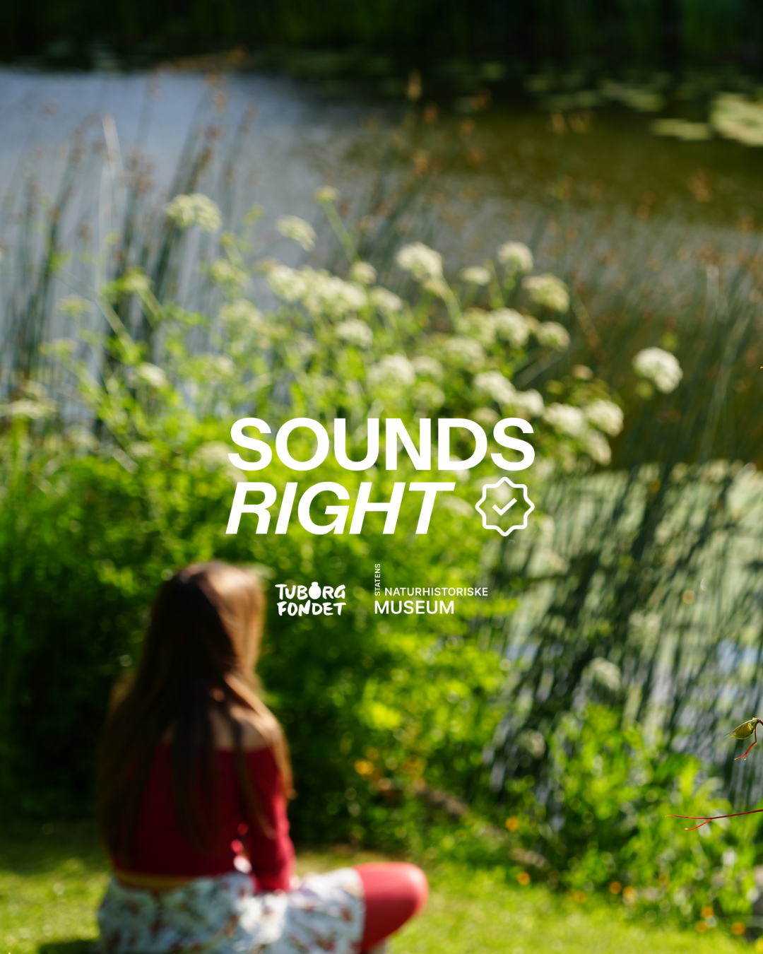 Nature Excursion Learnings with Tuborg Foundation