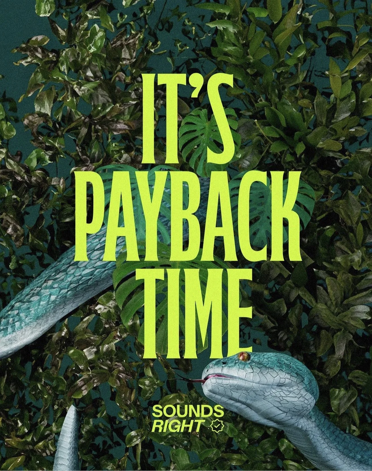 Sounds Right at COP16 Colombia