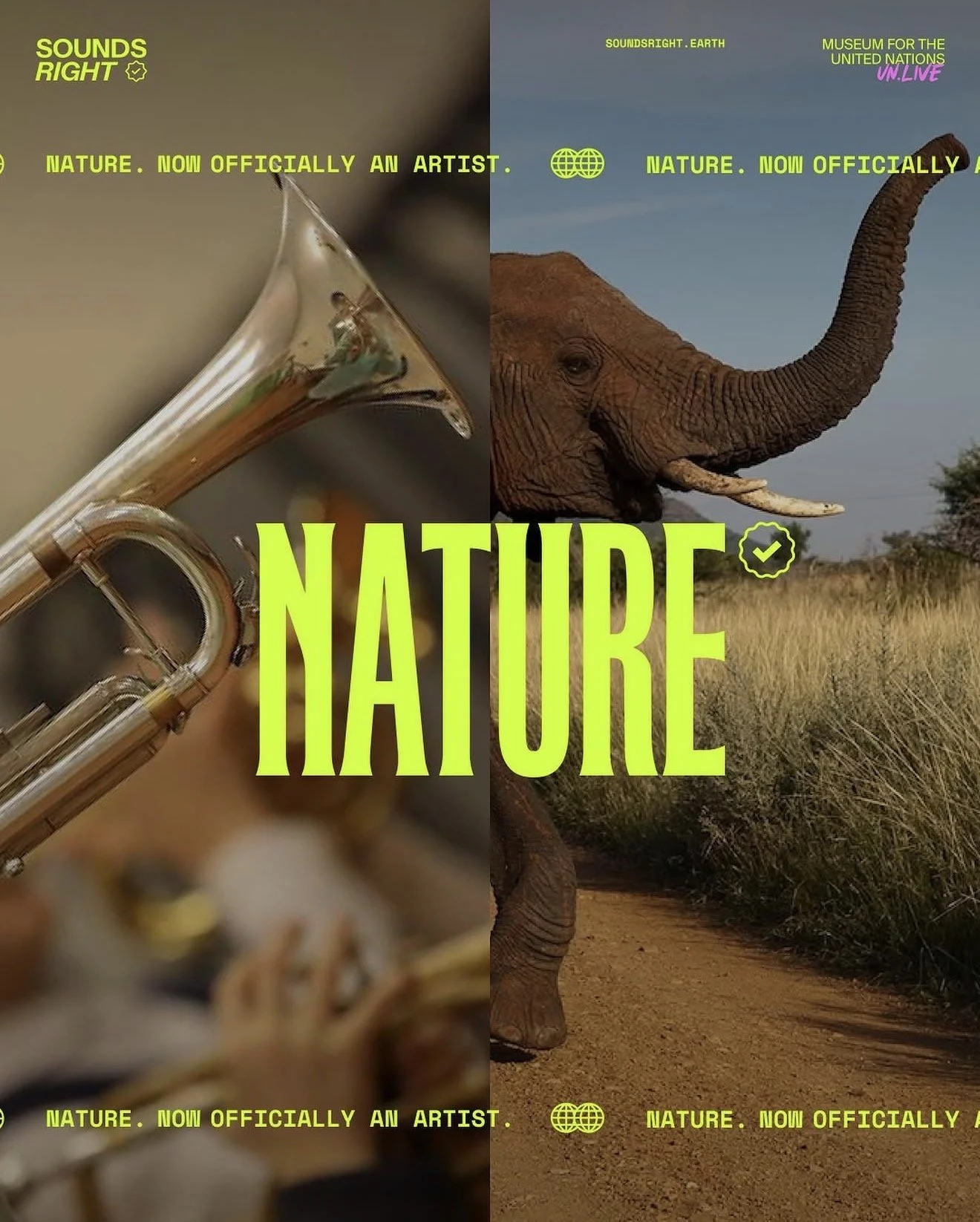 World Environment Day with NATURE