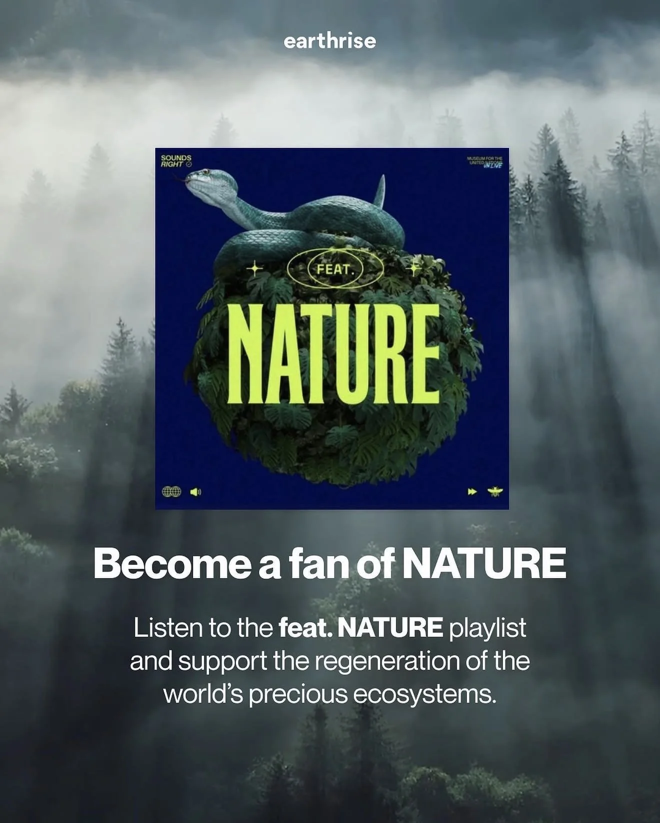 NATURE the Artist Media Coverage