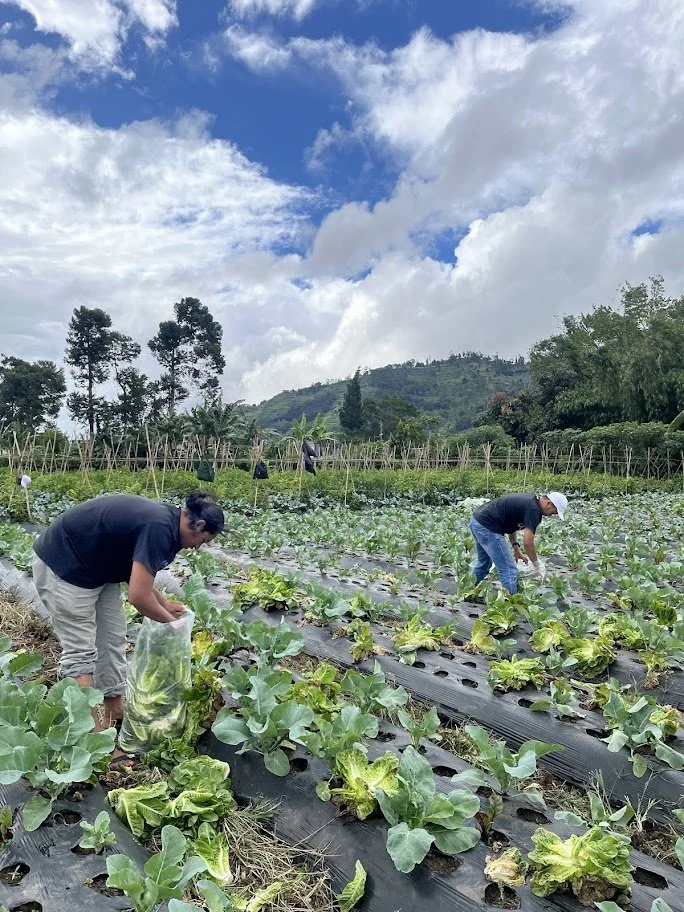 World Zero Waste Day with FoodCycle Indonesia