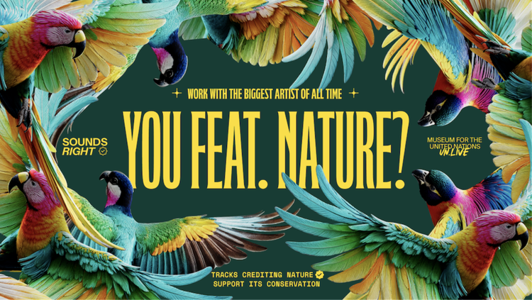 December 3, 2025: NATURE takes the stage