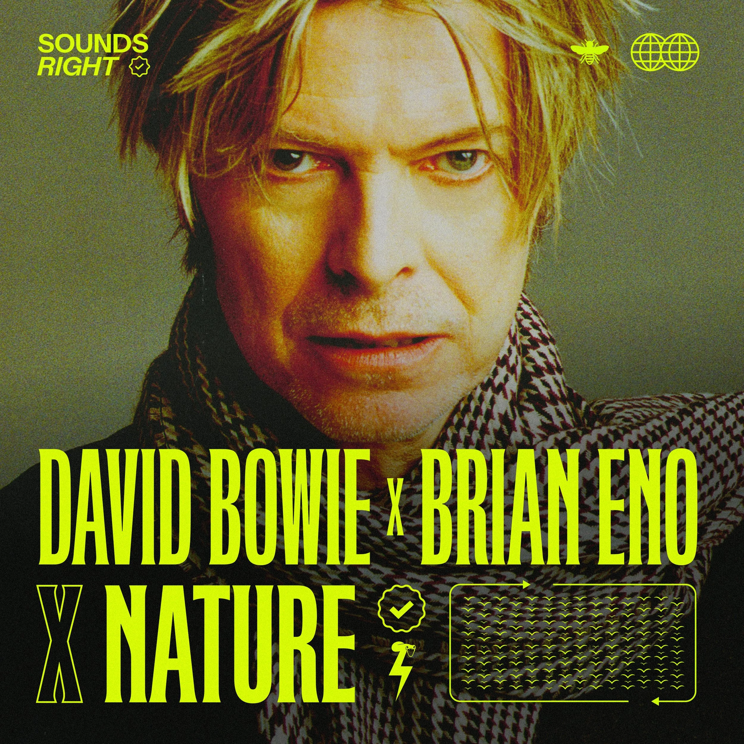 SoundsRight_CoverArt_Bowie (1).jpg