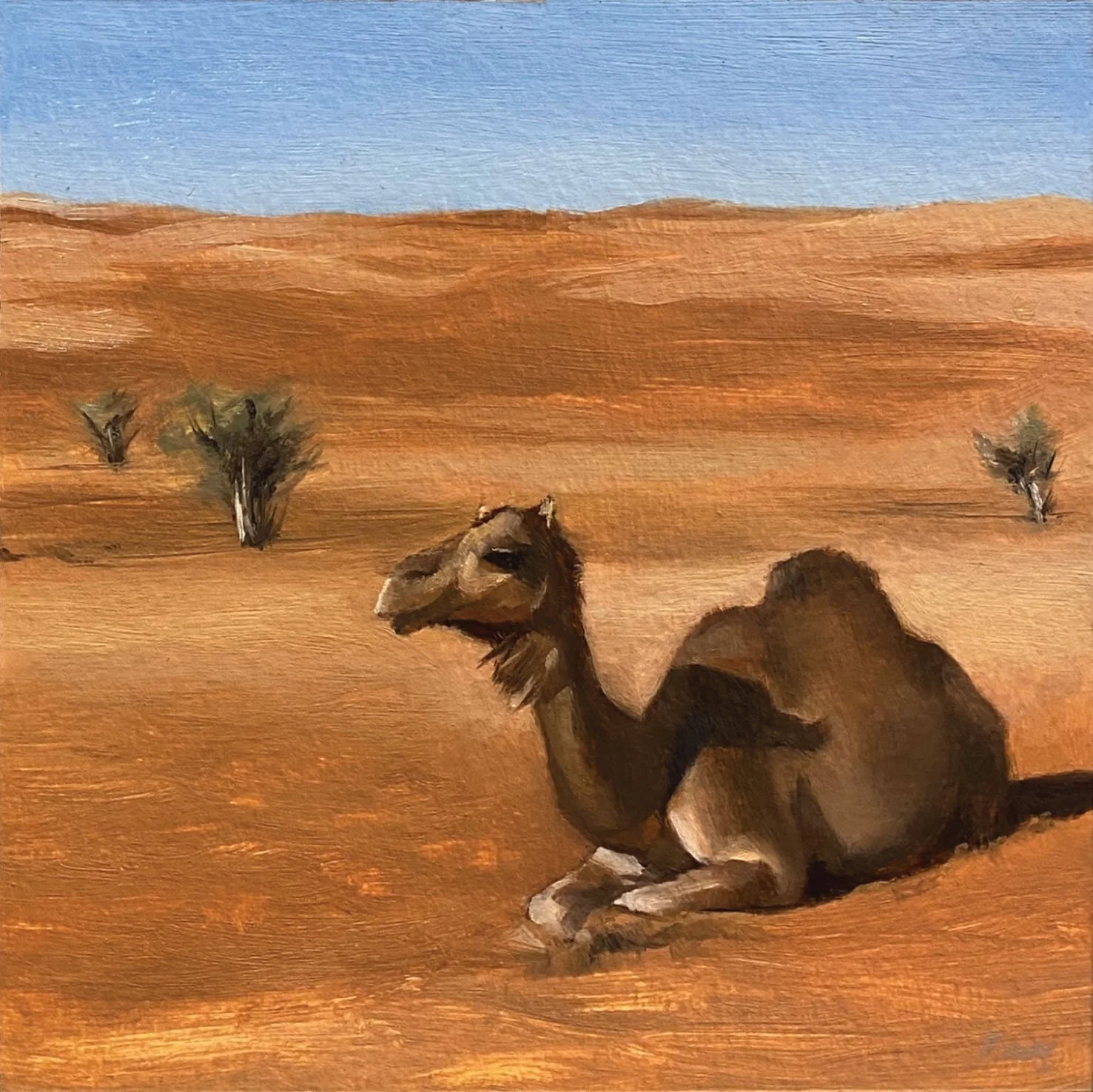 Animal Portrait 17.jpg