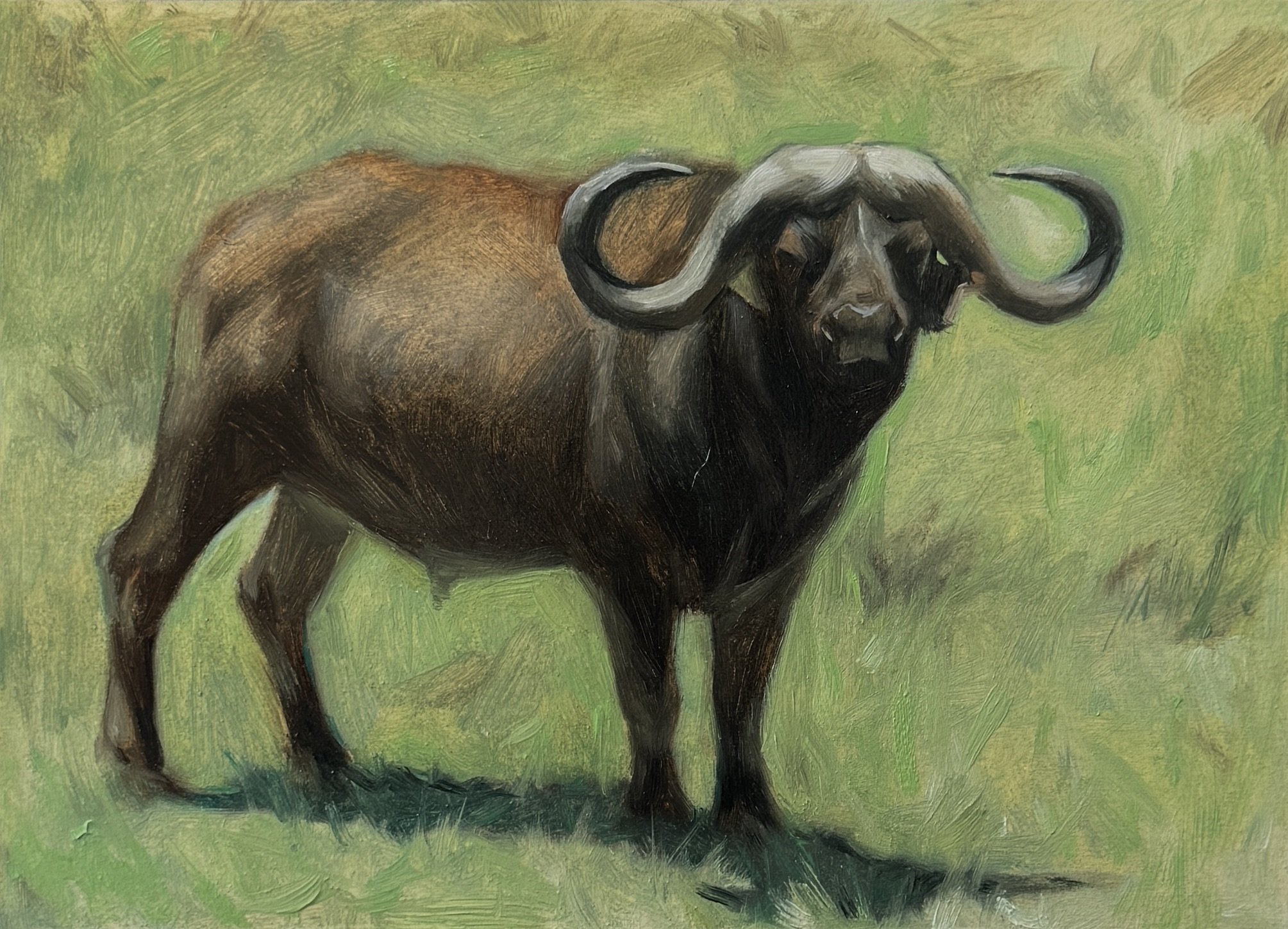 Animal Portrait 13.JPG