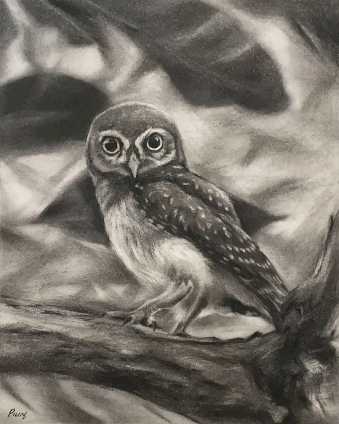 Animal Portrait 16.jpg