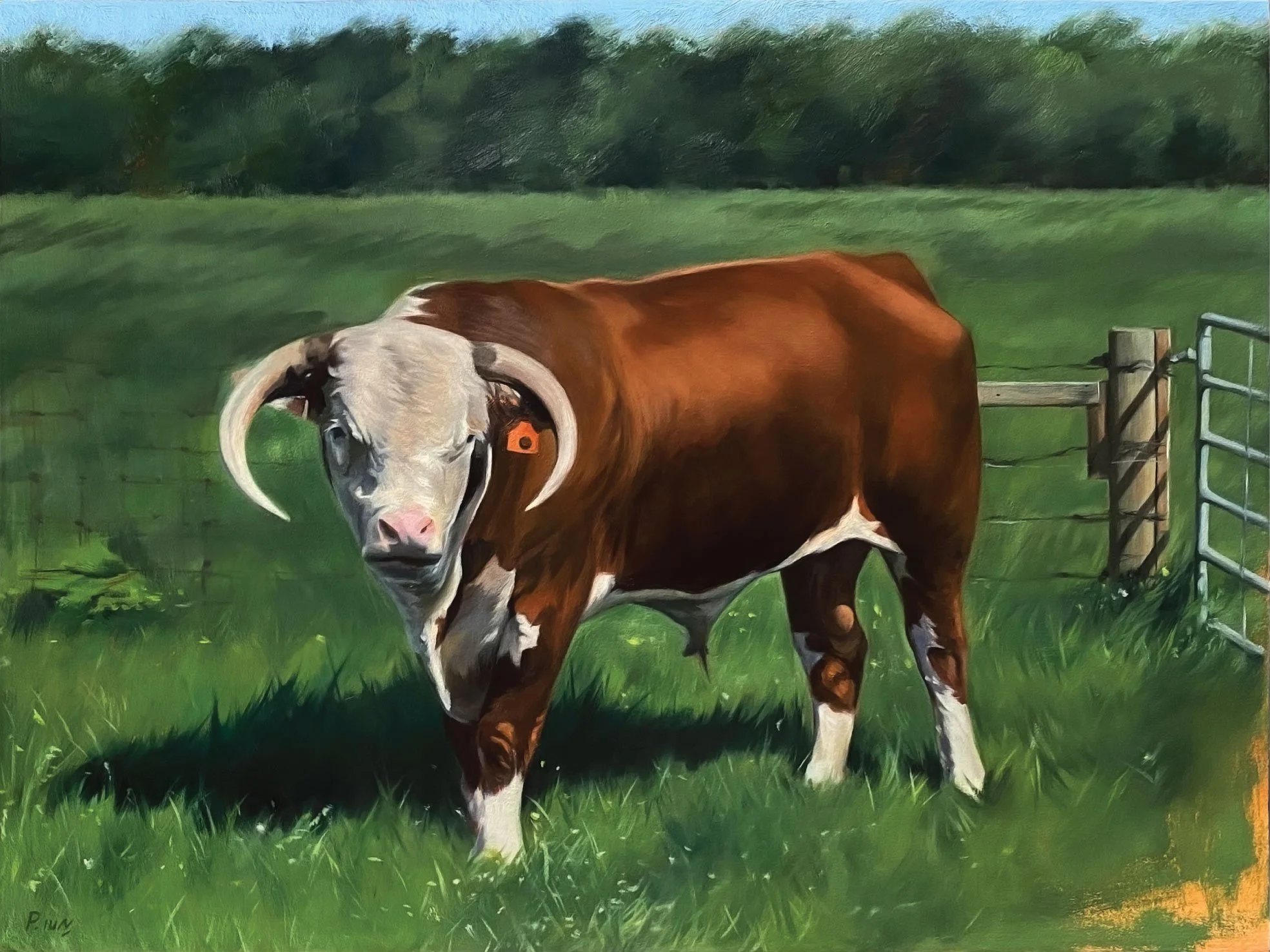 Animal Portrait 18.jpg