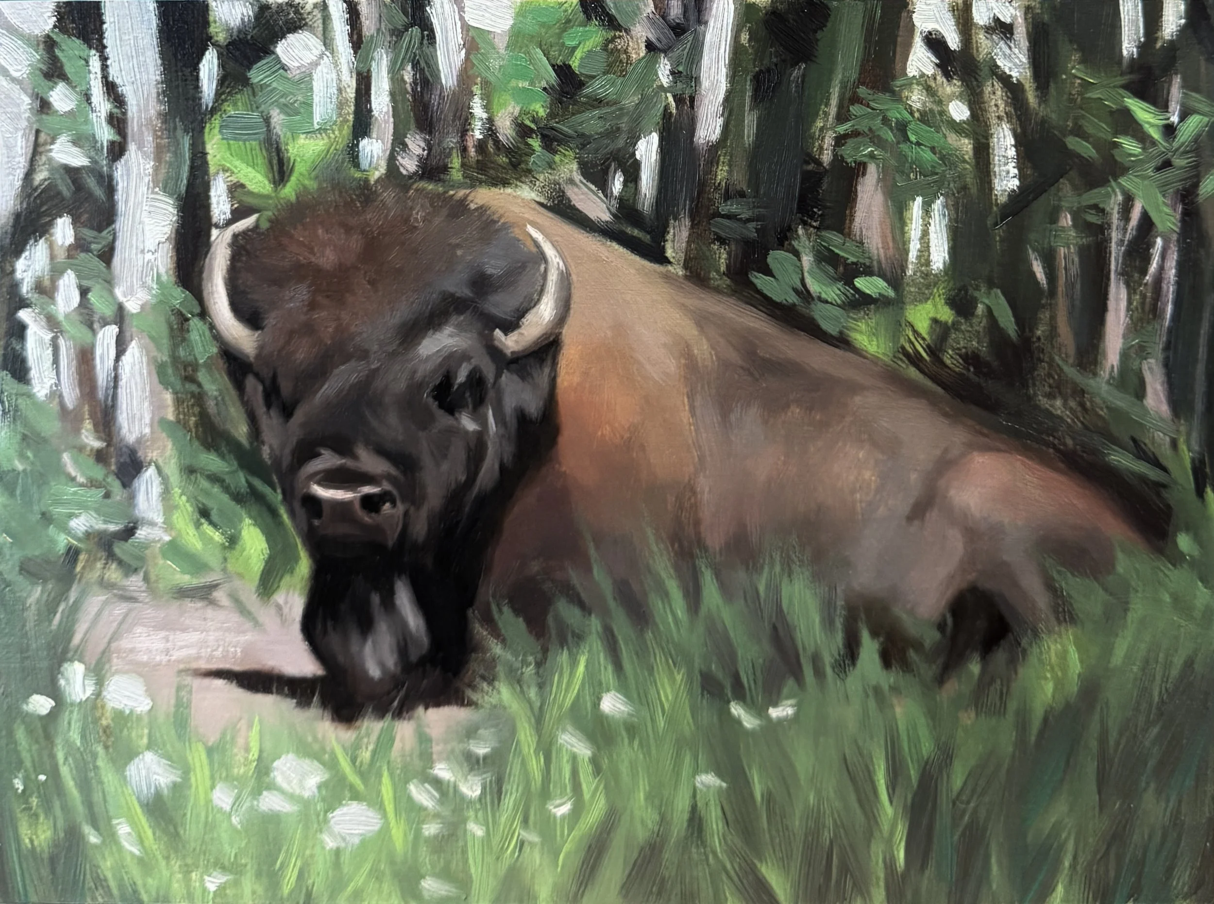 Animal Portrait 20.JPG