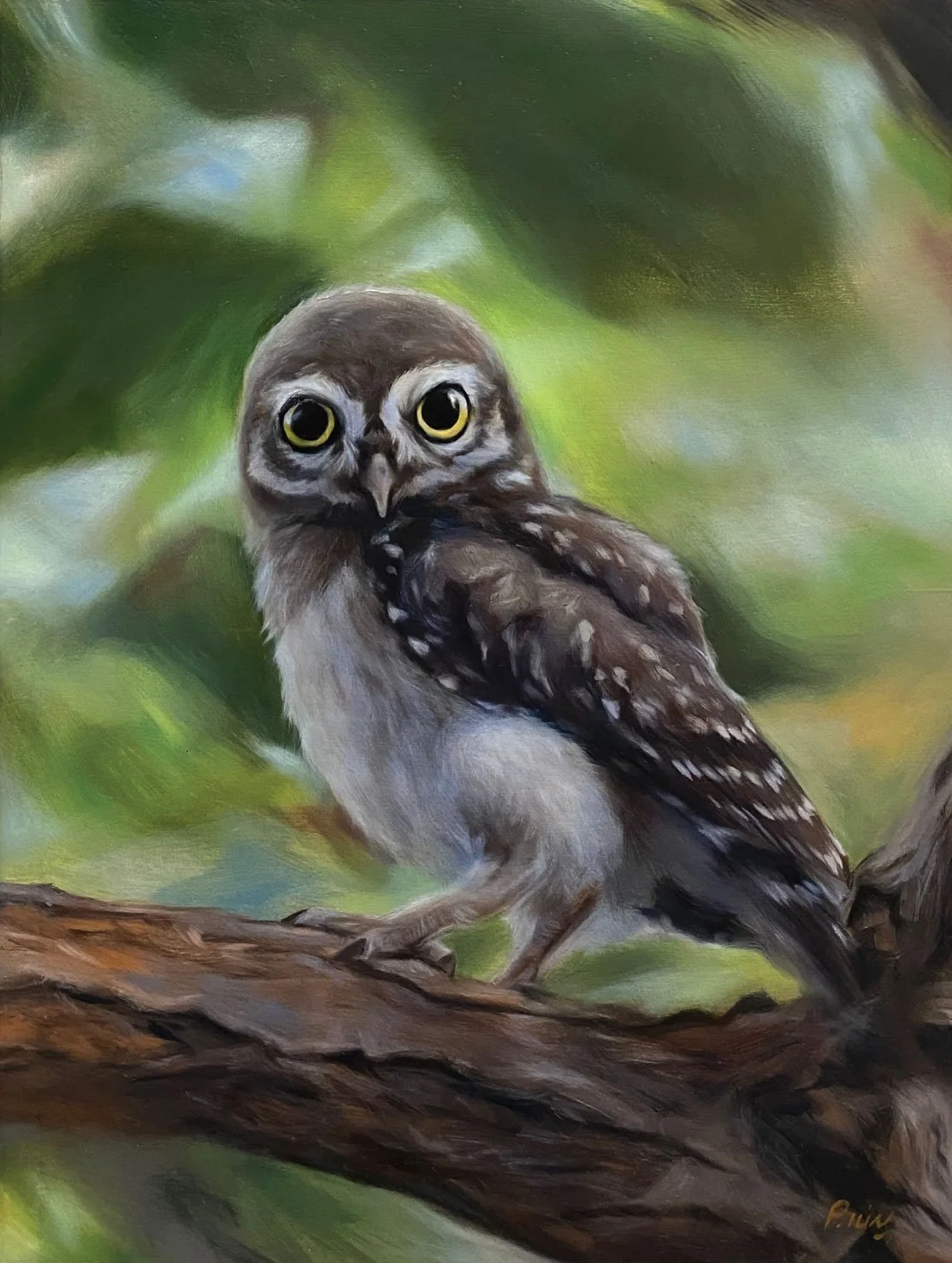 Animal Portrait 19.jpg