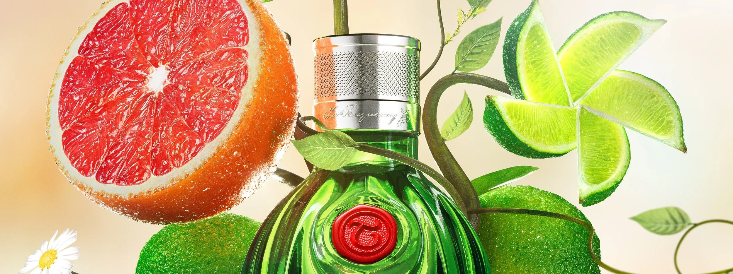 tanqueray+no+10+upclose.jpeg