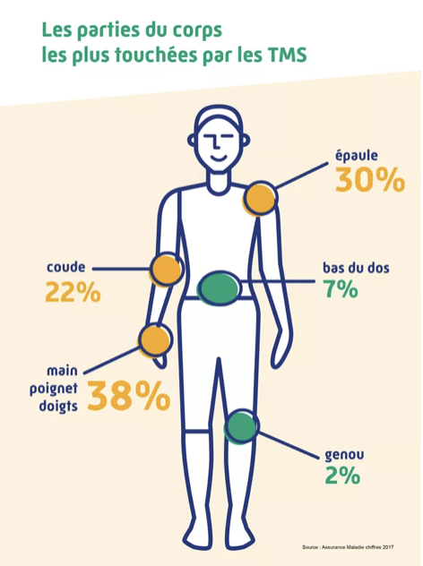 Infographie de l'assurance maladie montrant les parties du corps les plus touchées par les TMS - Neomove