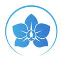 Logo Sophronitis, marque partenaire rewards Neomove, qui propose des séances combinant introspection et sophrologie