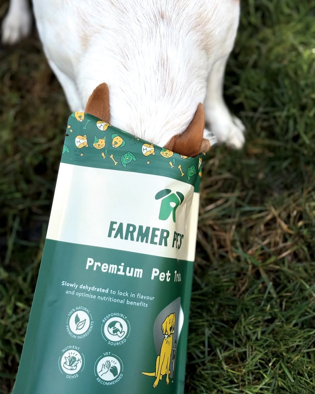 &ldquo;Do I need a brand pattern? Where can I use it??&rdquo; 

Heaps of places!

There&rsquo;s some more obvious ones (particularly if you&rsquo;re in retail) like on boxes, bags, tissue paper, packing tape and packaging like we did for Farmer Pete&